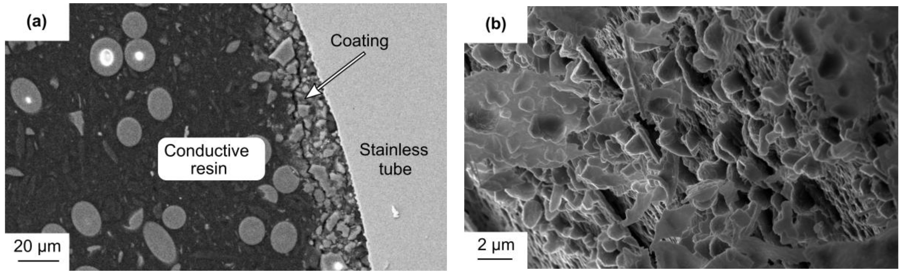 Catalysts 08 00058 g001