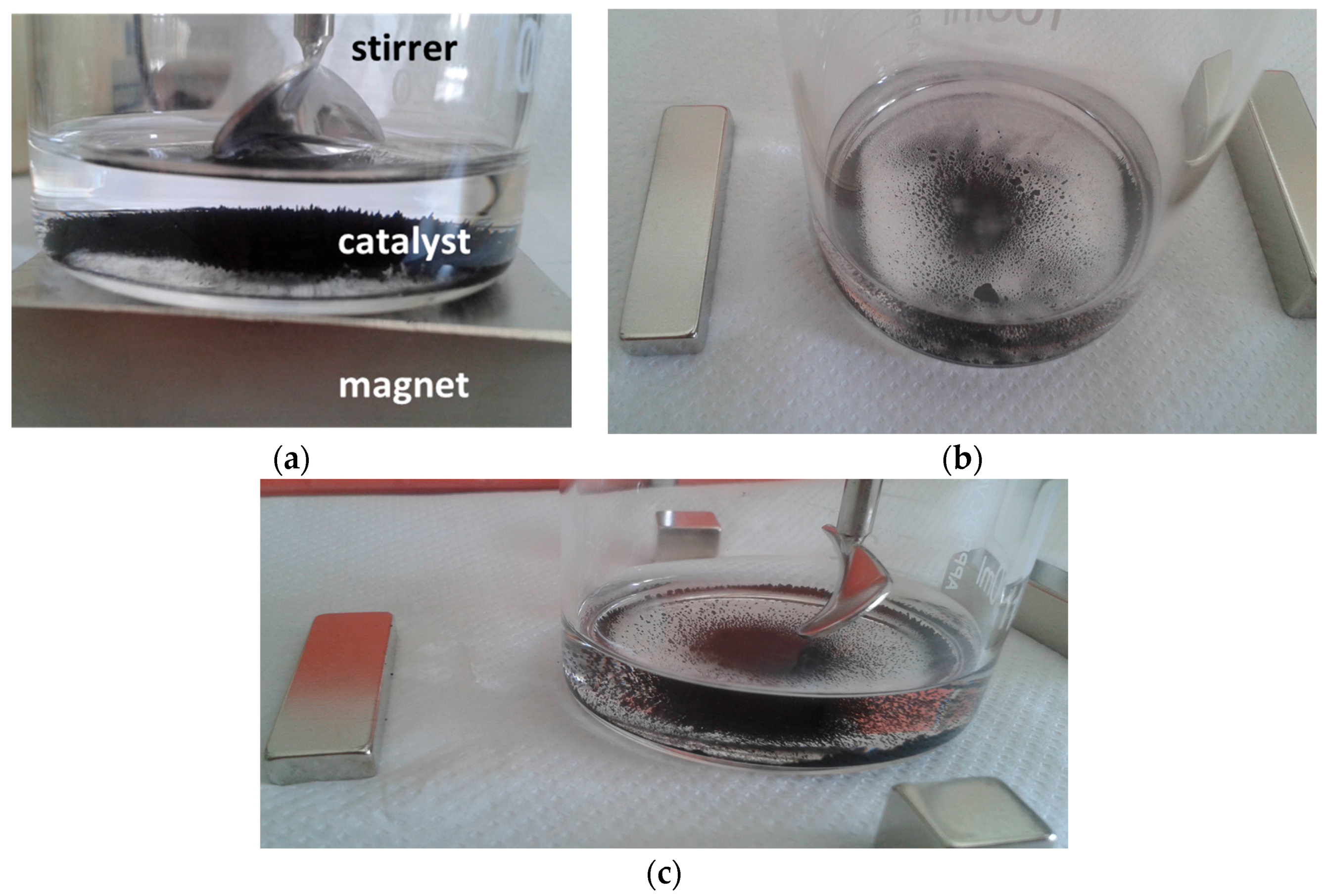 Catalysts 08 00069 g002