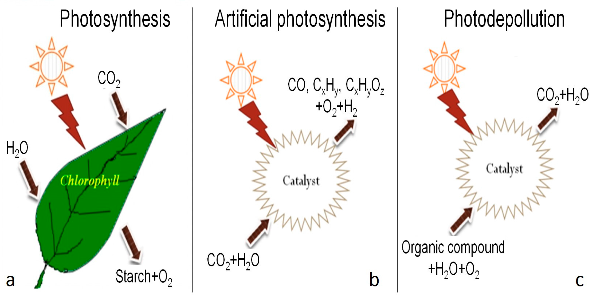 Catalysts 08 00074 g001