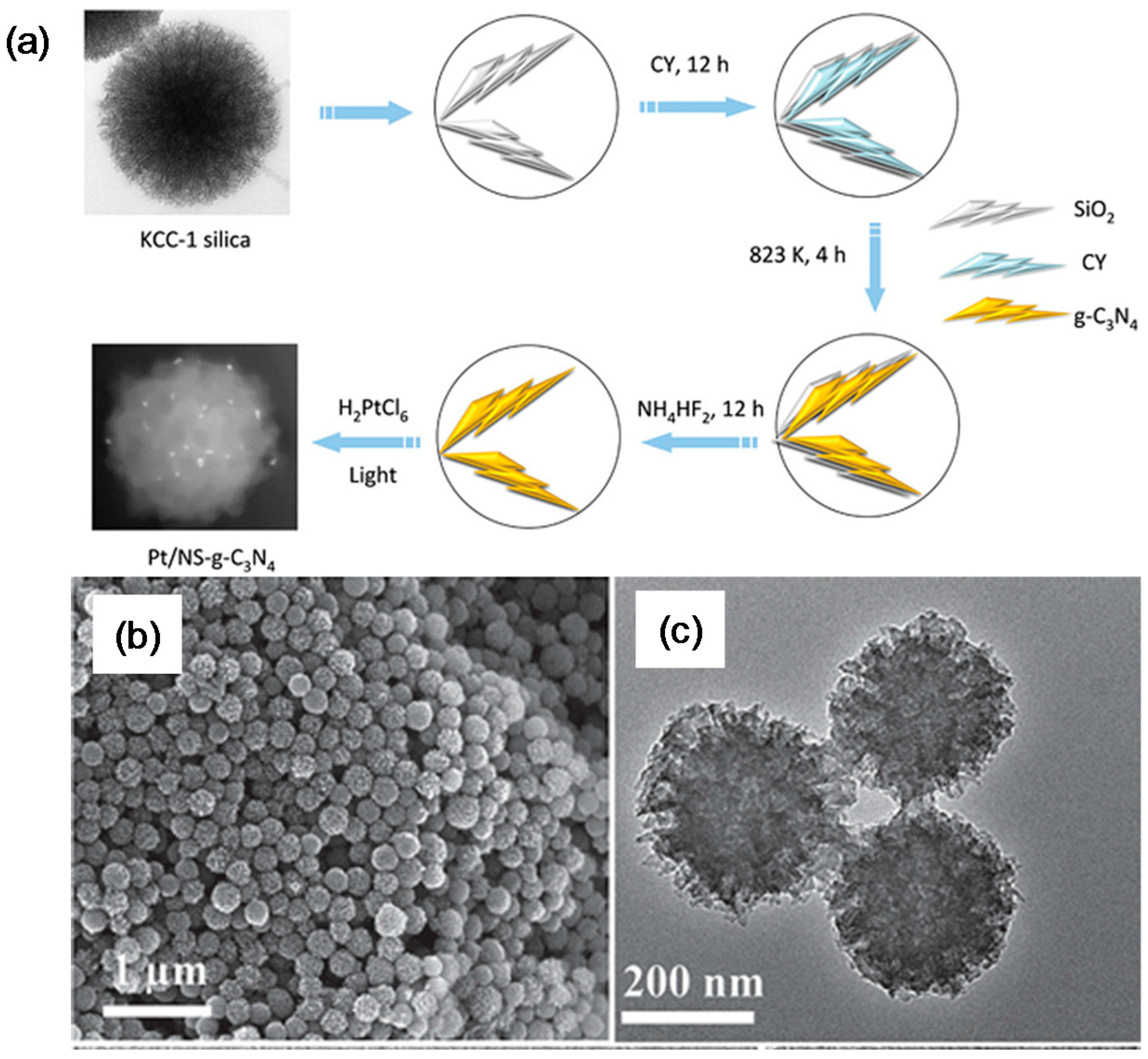 Catalysts 08 00074 g014