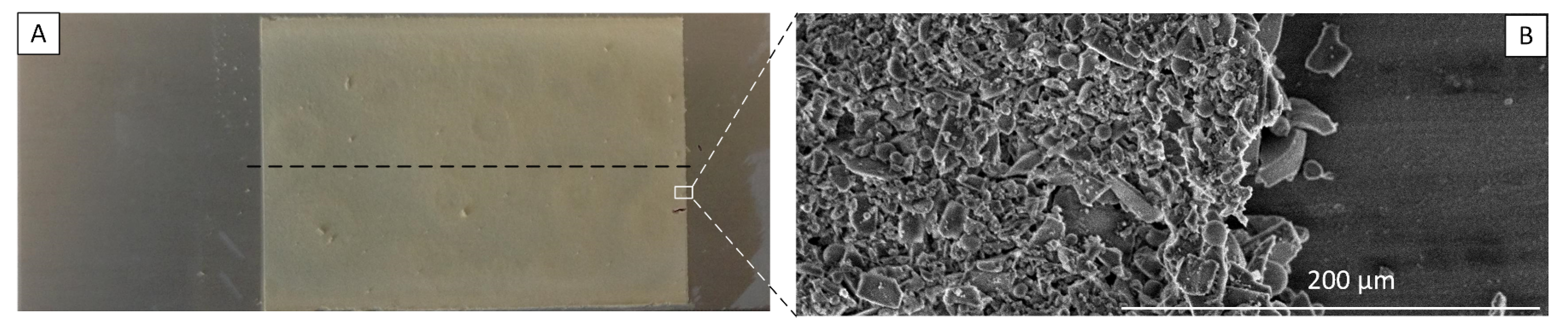 Catalysts 08 00086 g001