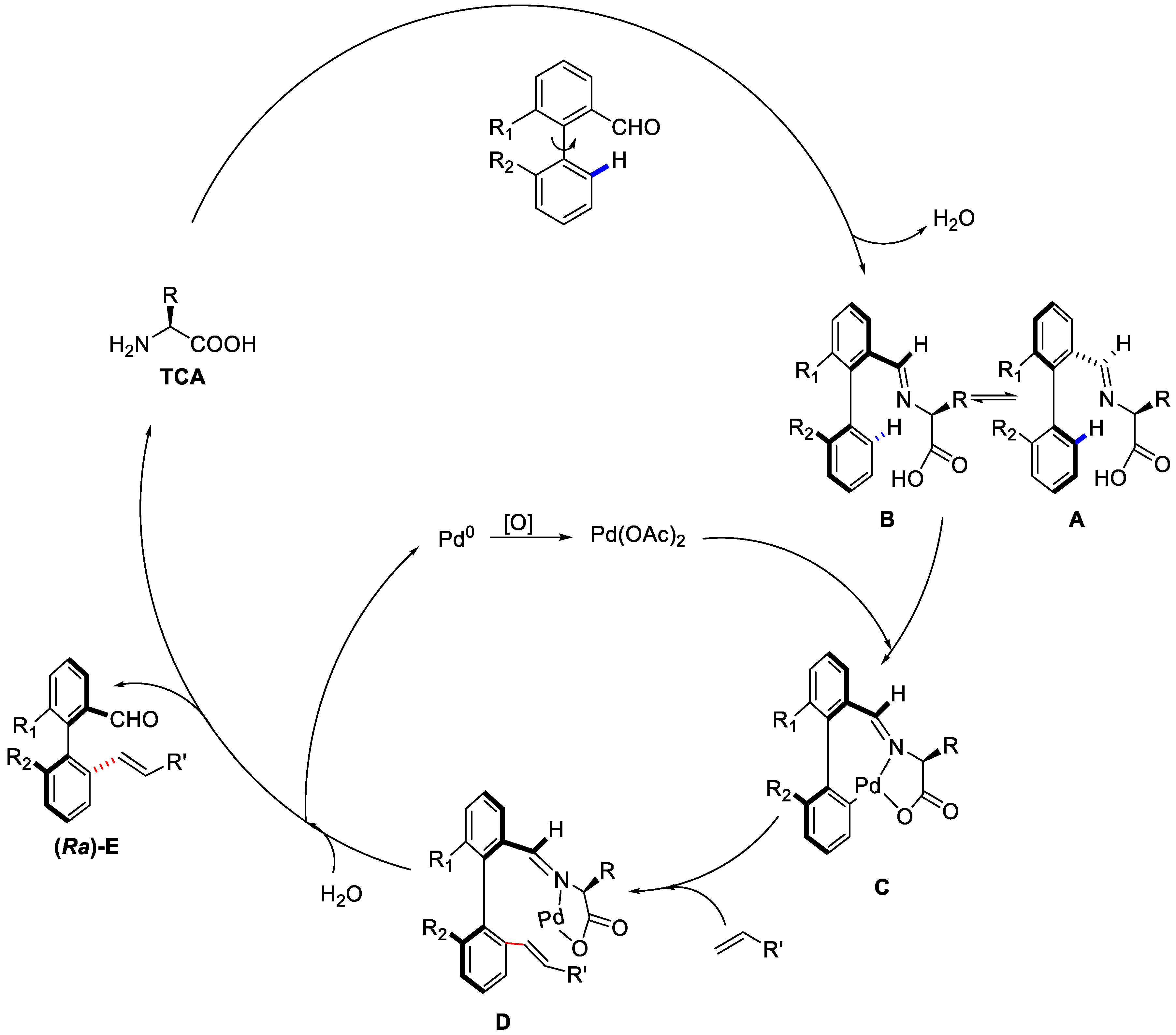 Catalysts 08 00090 sch034