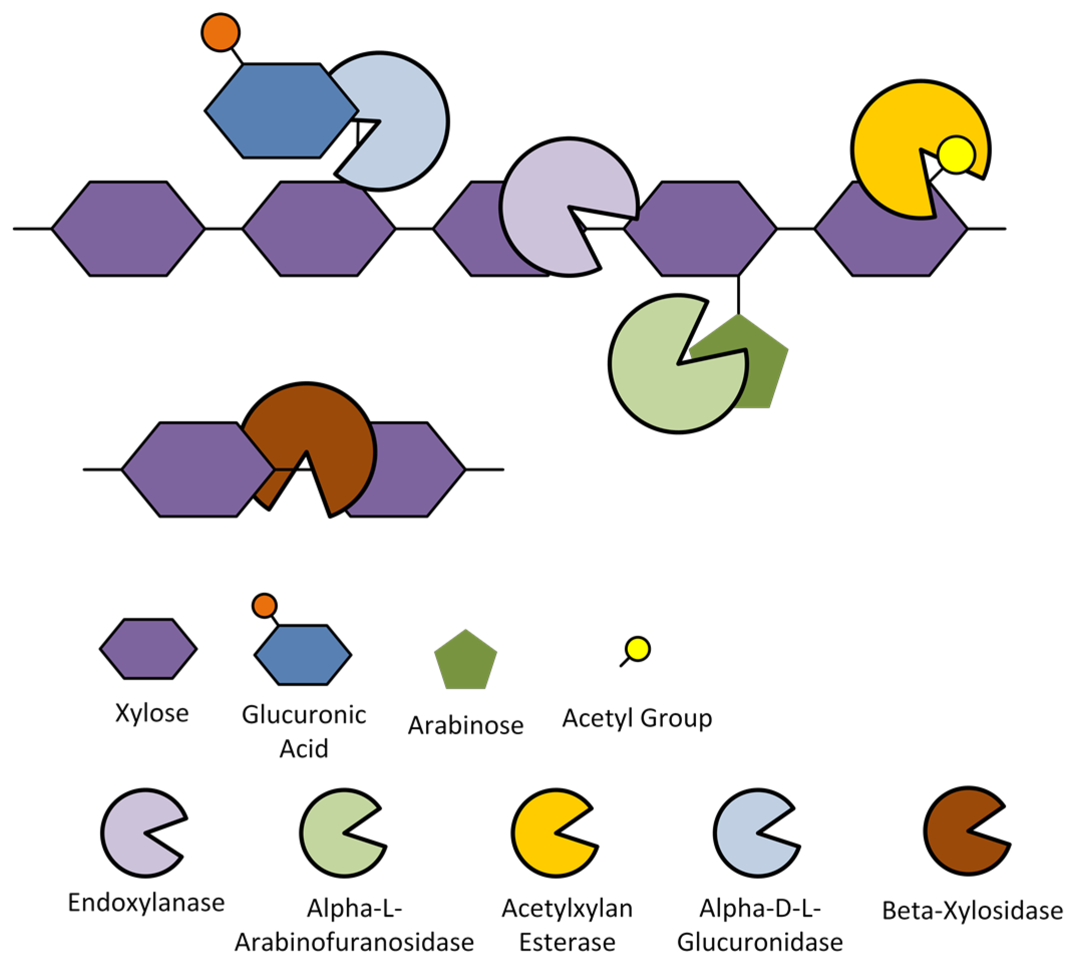 Catalysts 08 00094 g005