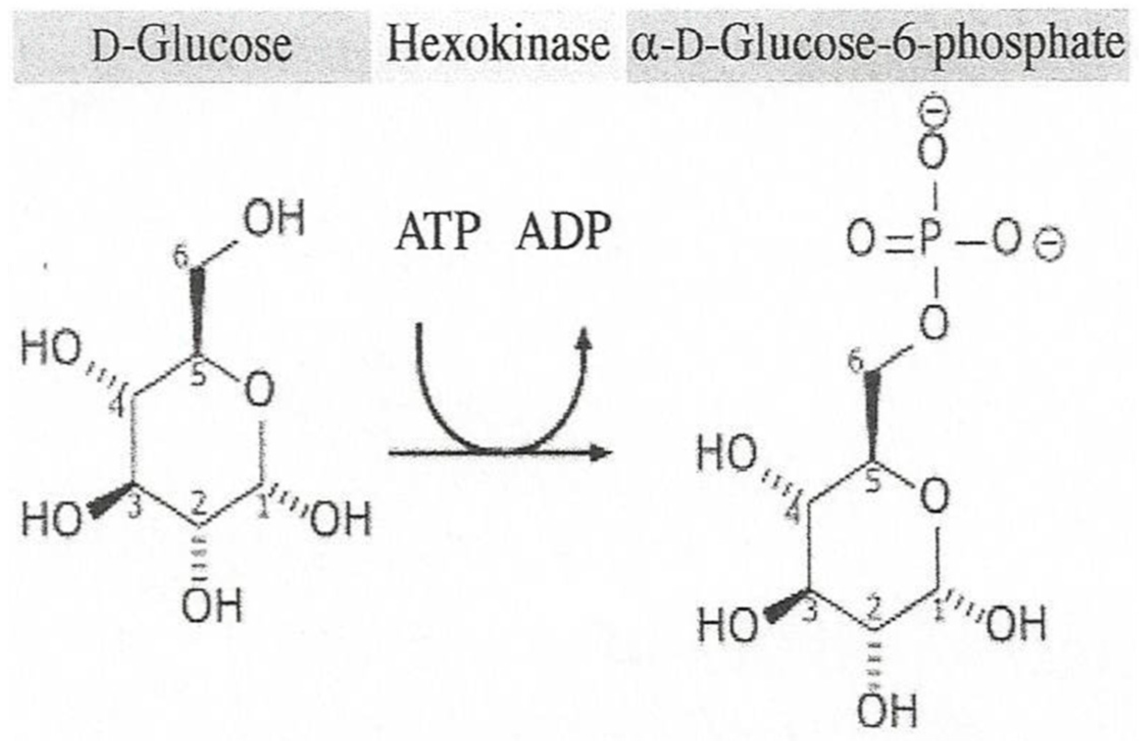 Catalysts 08 00097 g004