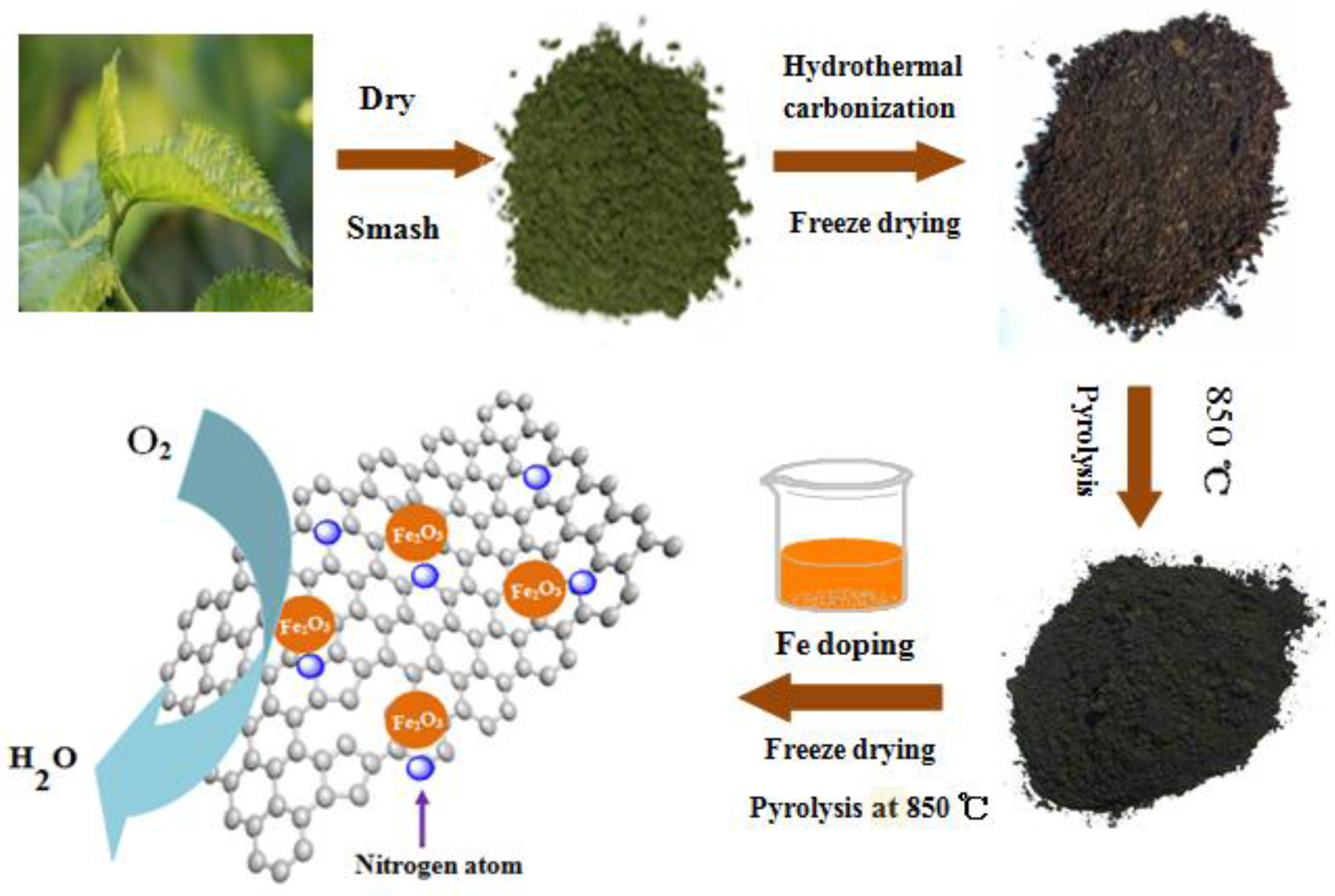 Catalysts 08 00101 sch001