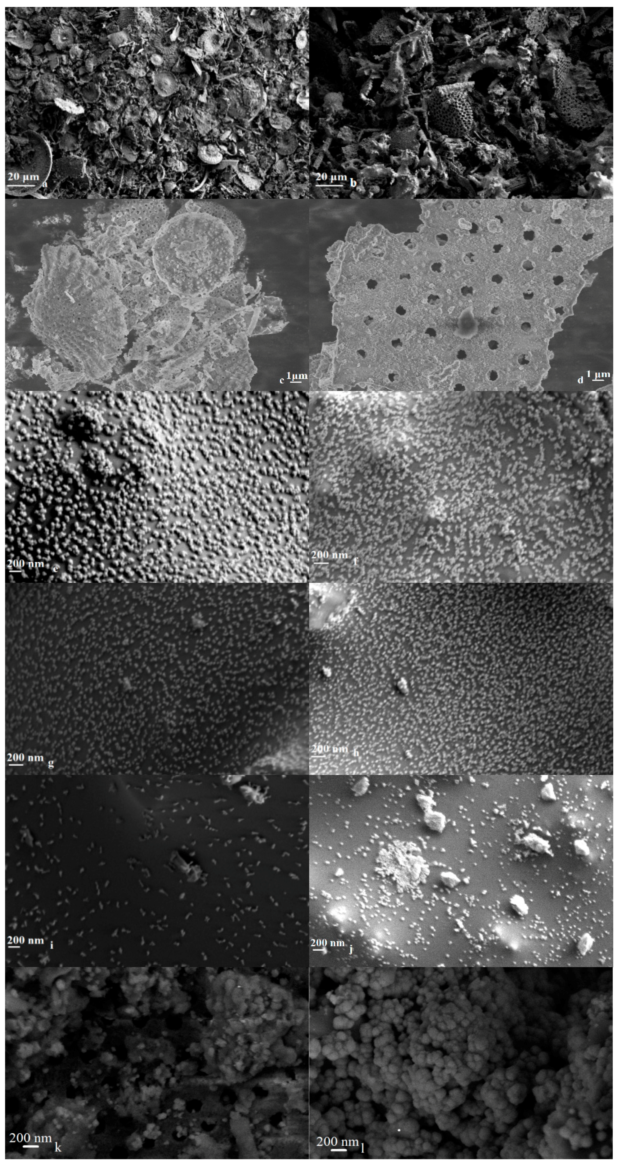 Catalysts 08 00111 g002