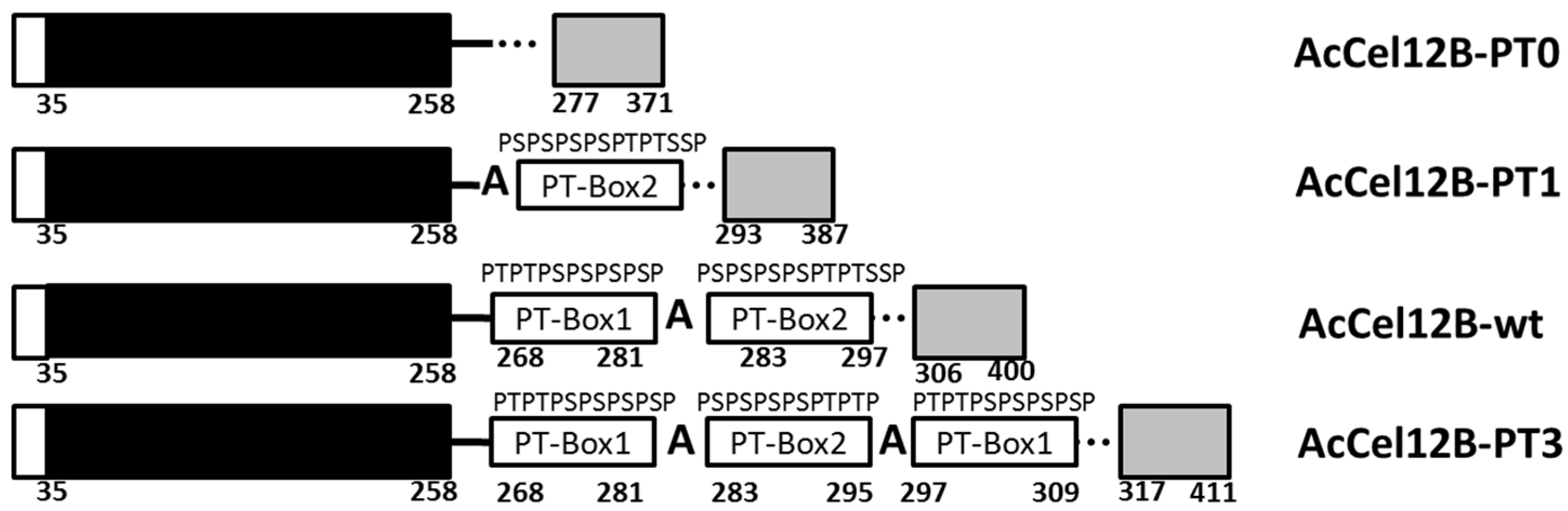 Catalysts 08 00123 g001