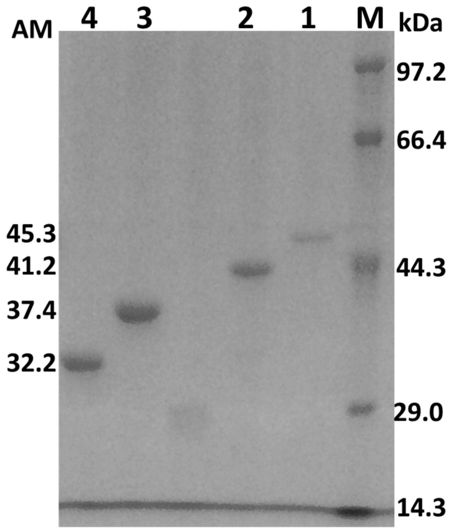 Catalysts 08 00123 g002