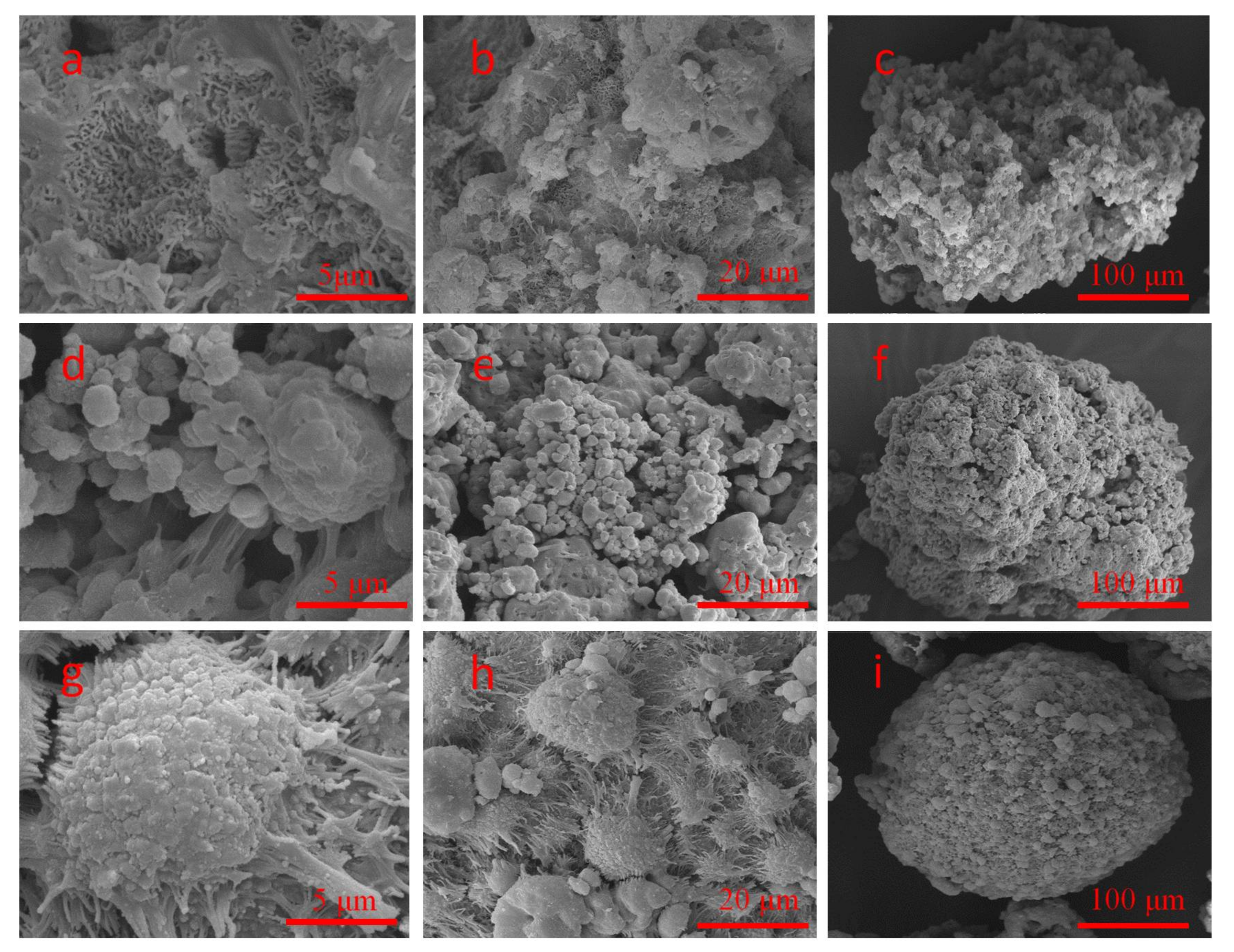 Catalysts 08 00146 g006