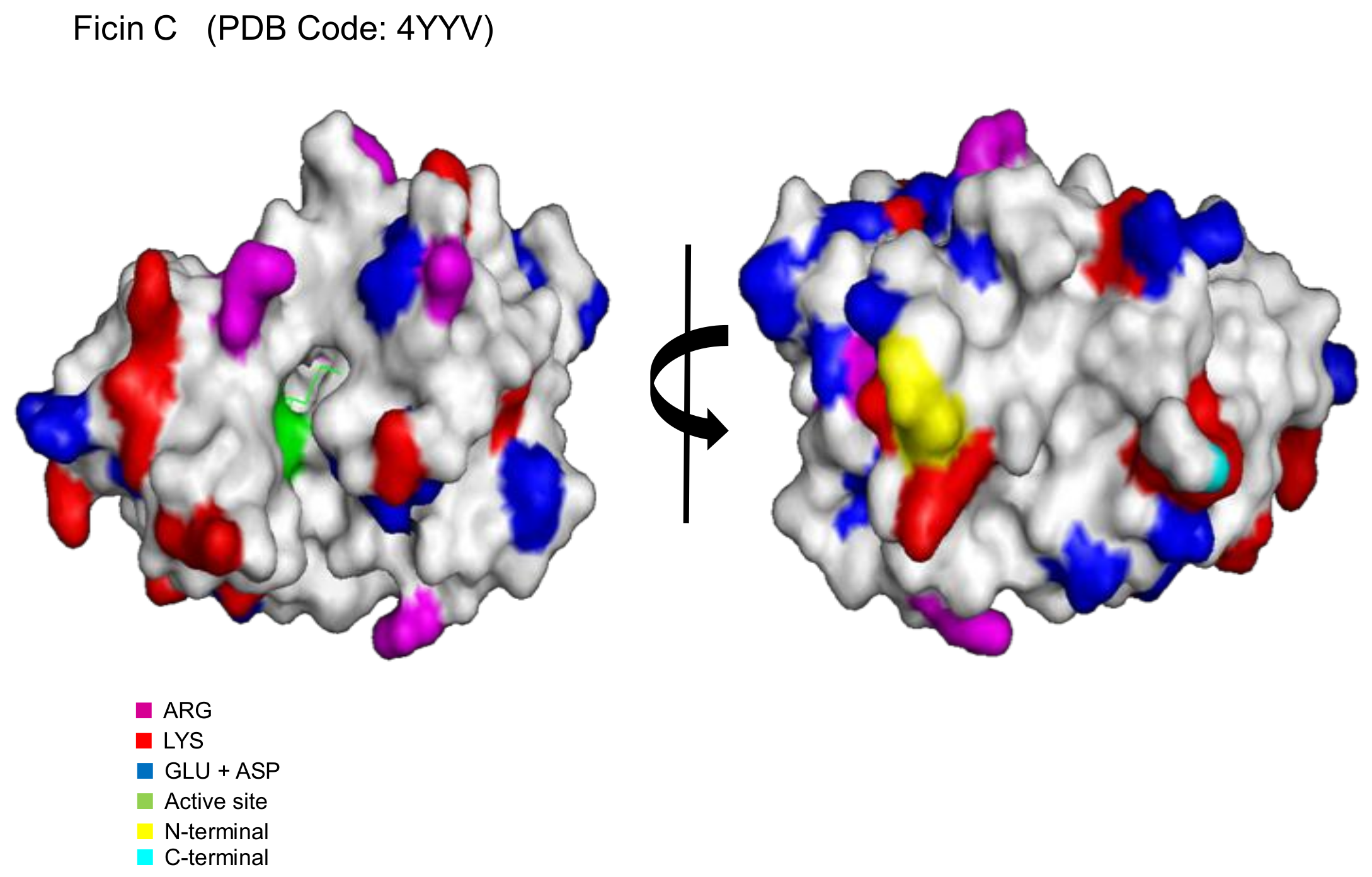 Catalysts 08 00149 g004 Catalysts 08 00149 g004