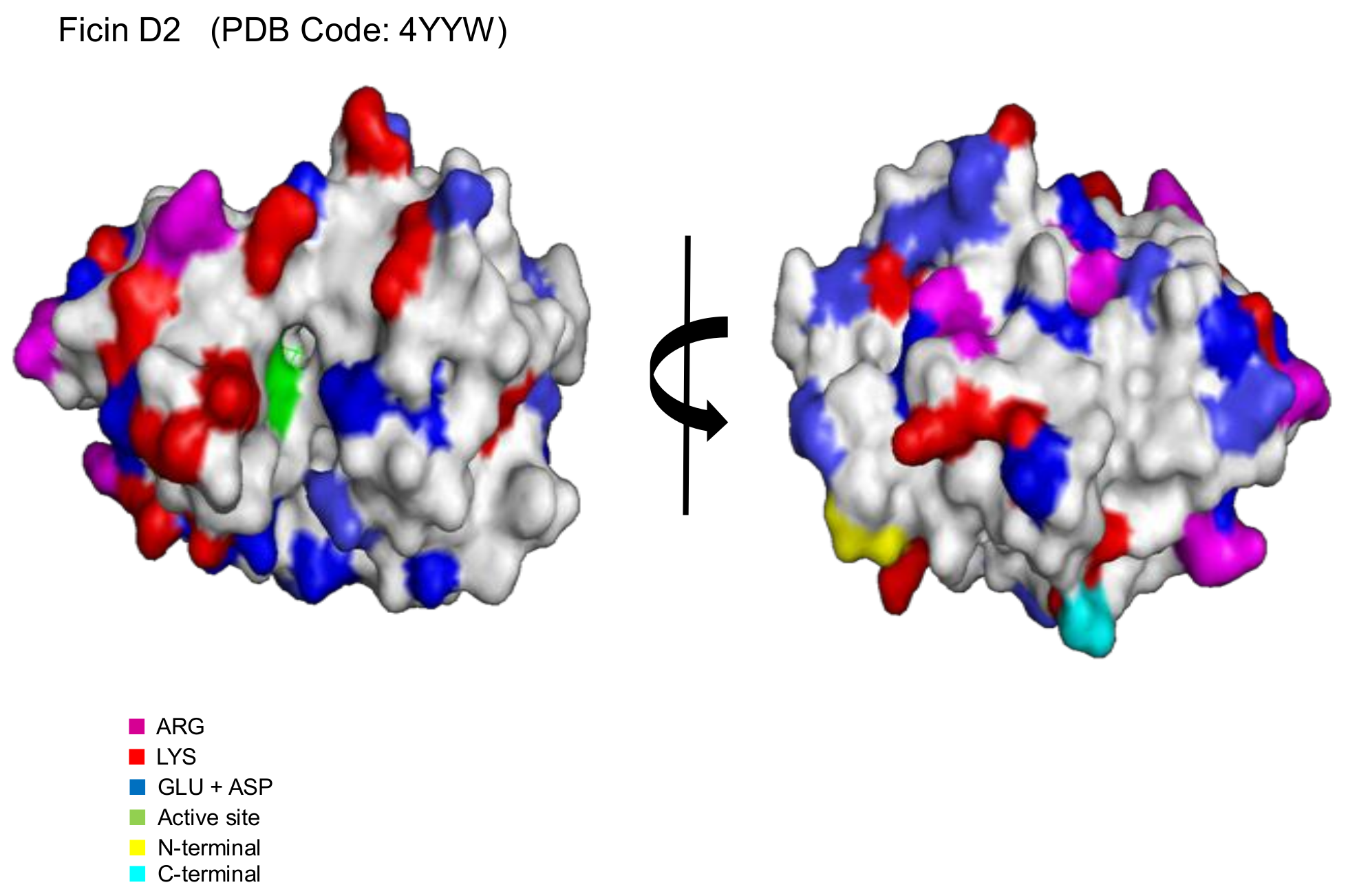 Catalysts 08 00149 g005 Catalysts 08 00149 g005