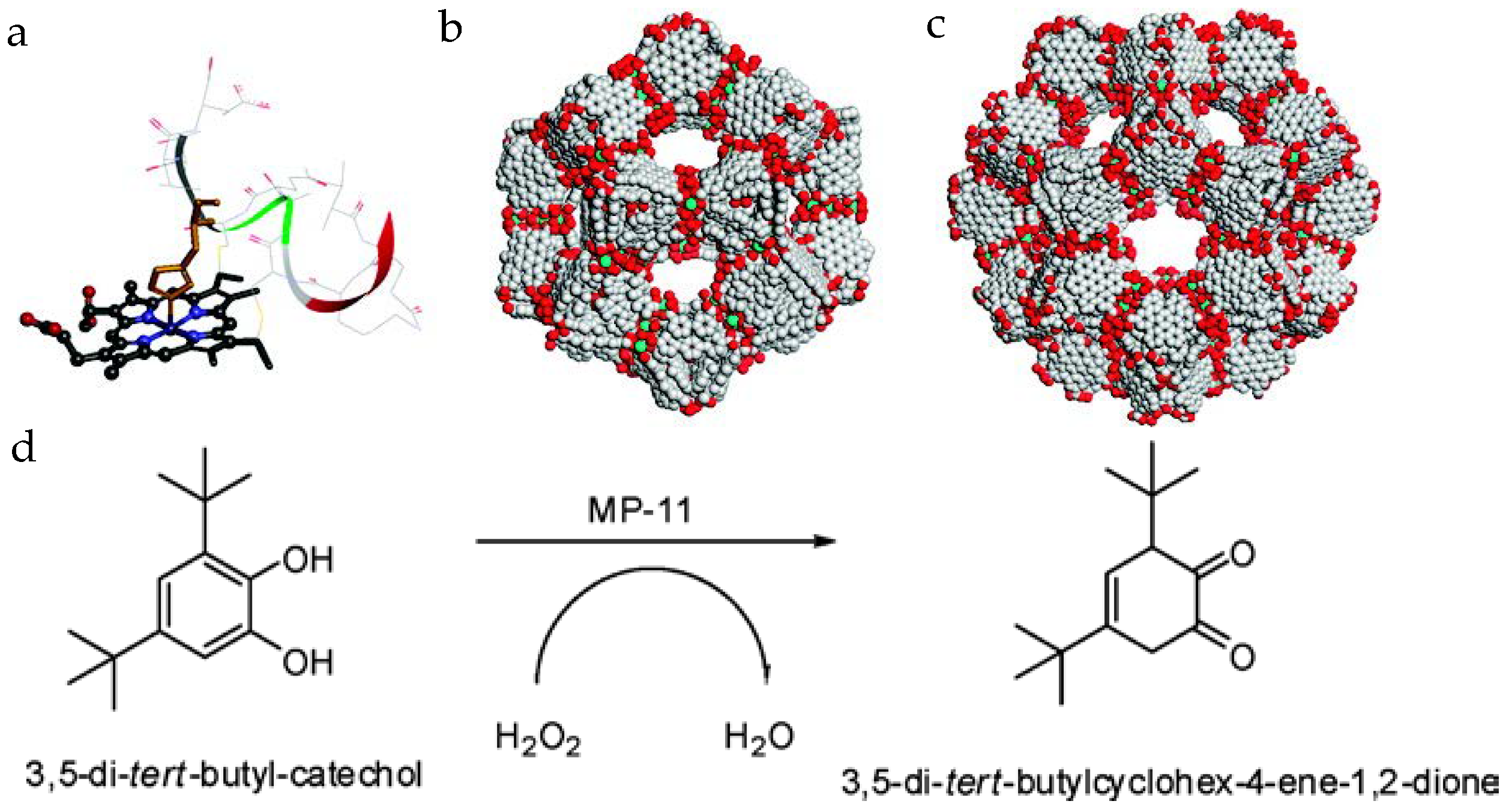 Catalysts 08 00166 g002