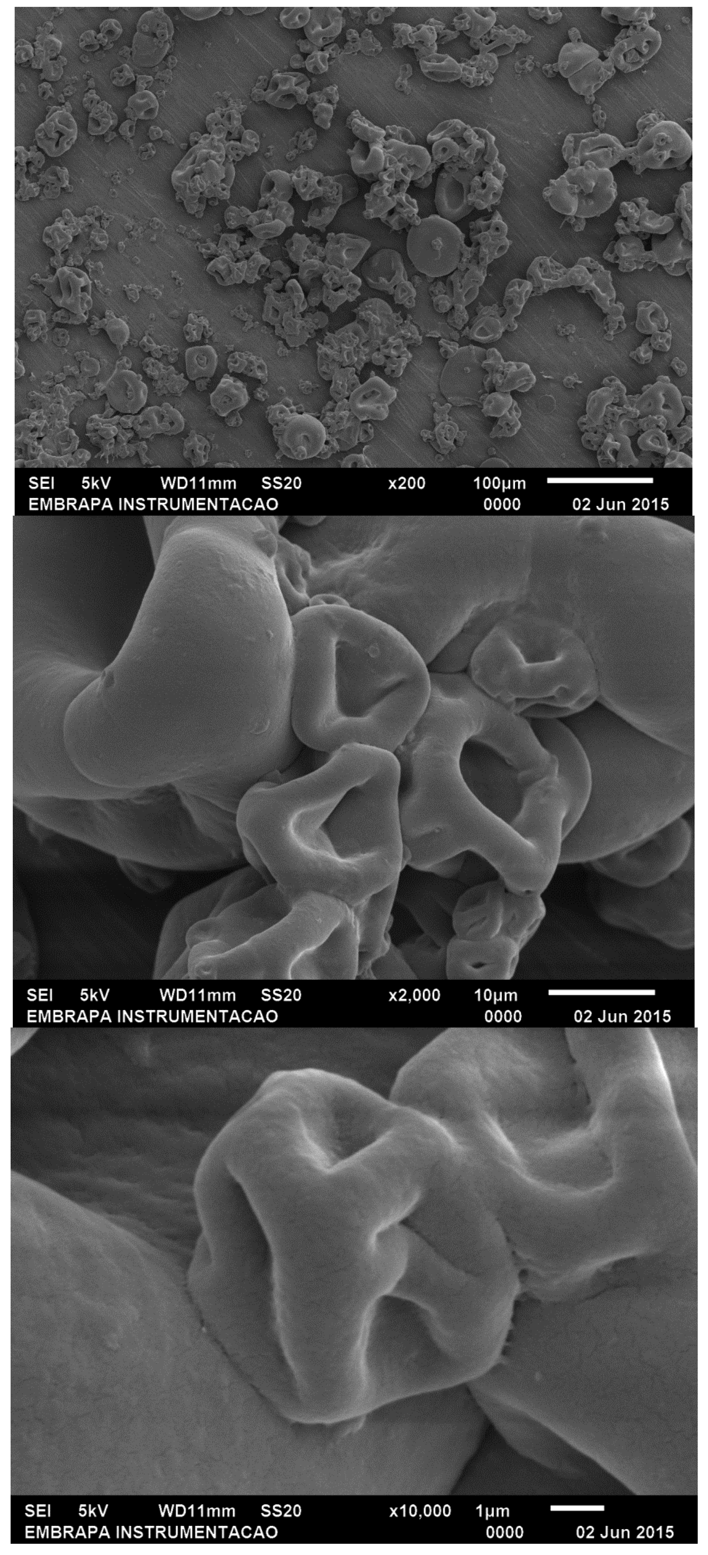 Catalysts 08 00170 g001