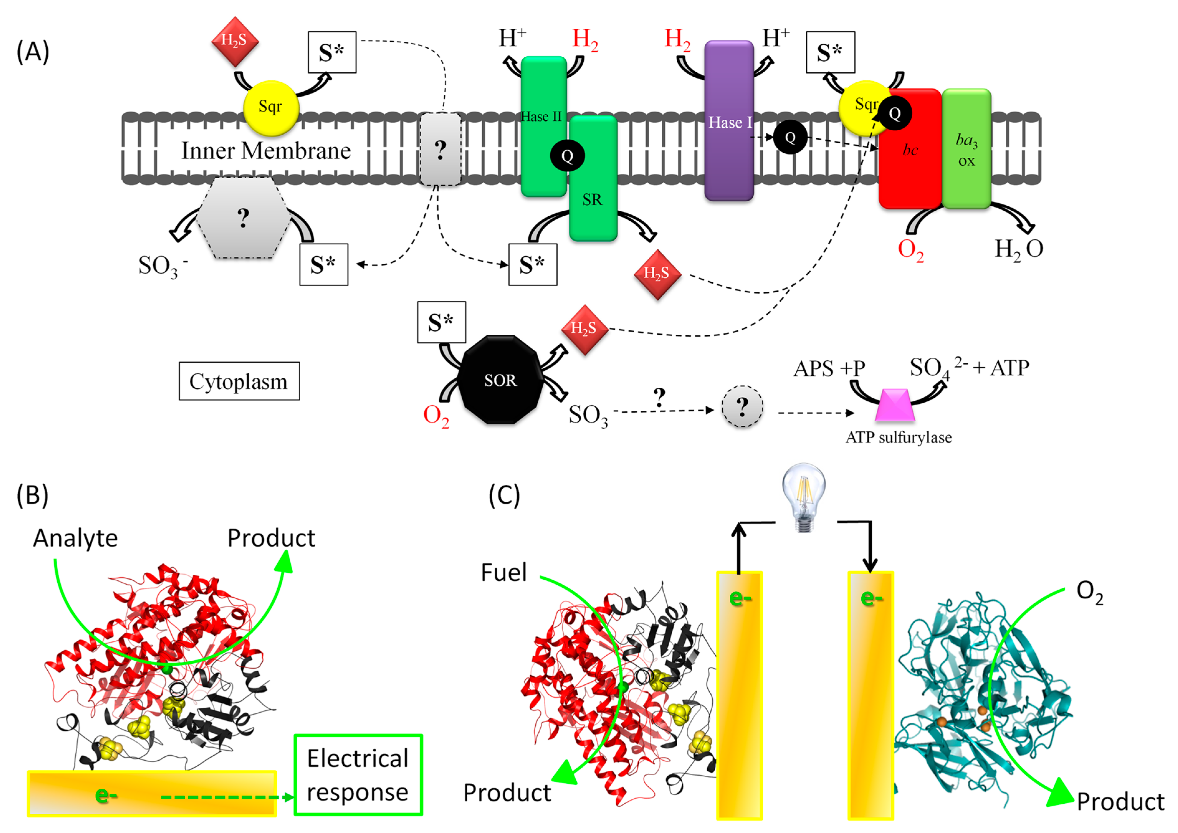 Catalysts 08 00192 g001