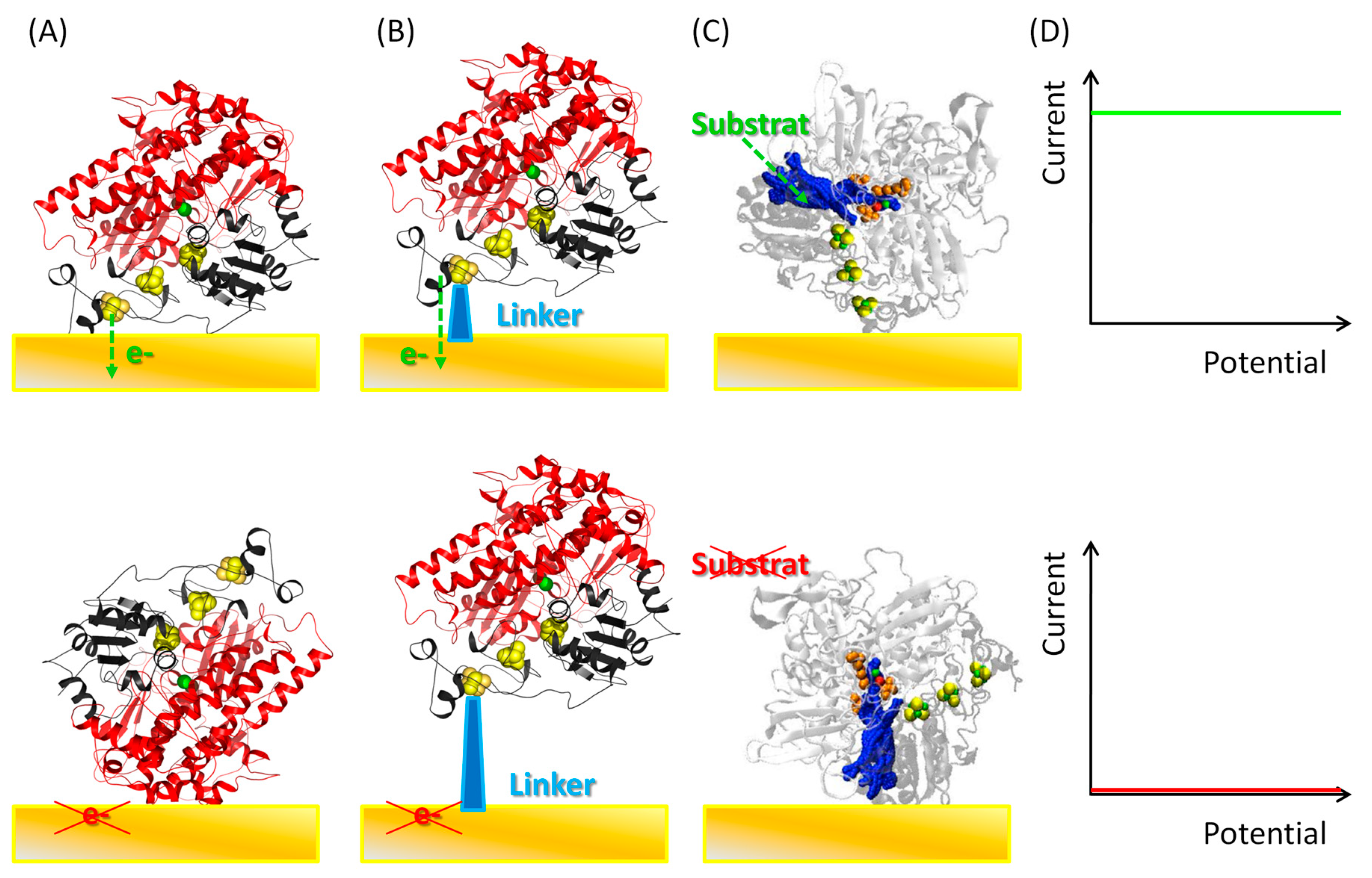 Catalysts 08 00192 g002