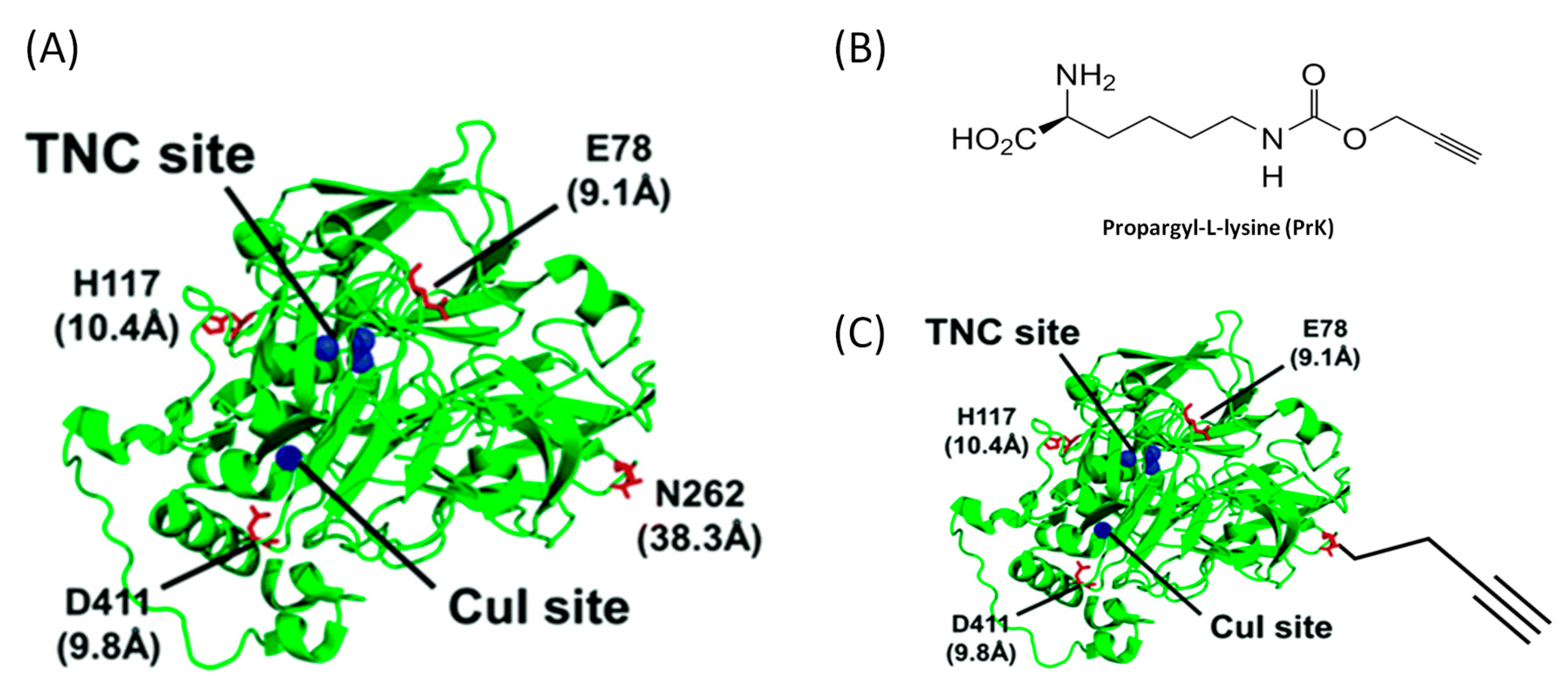 Catalysts 08 00192 g006