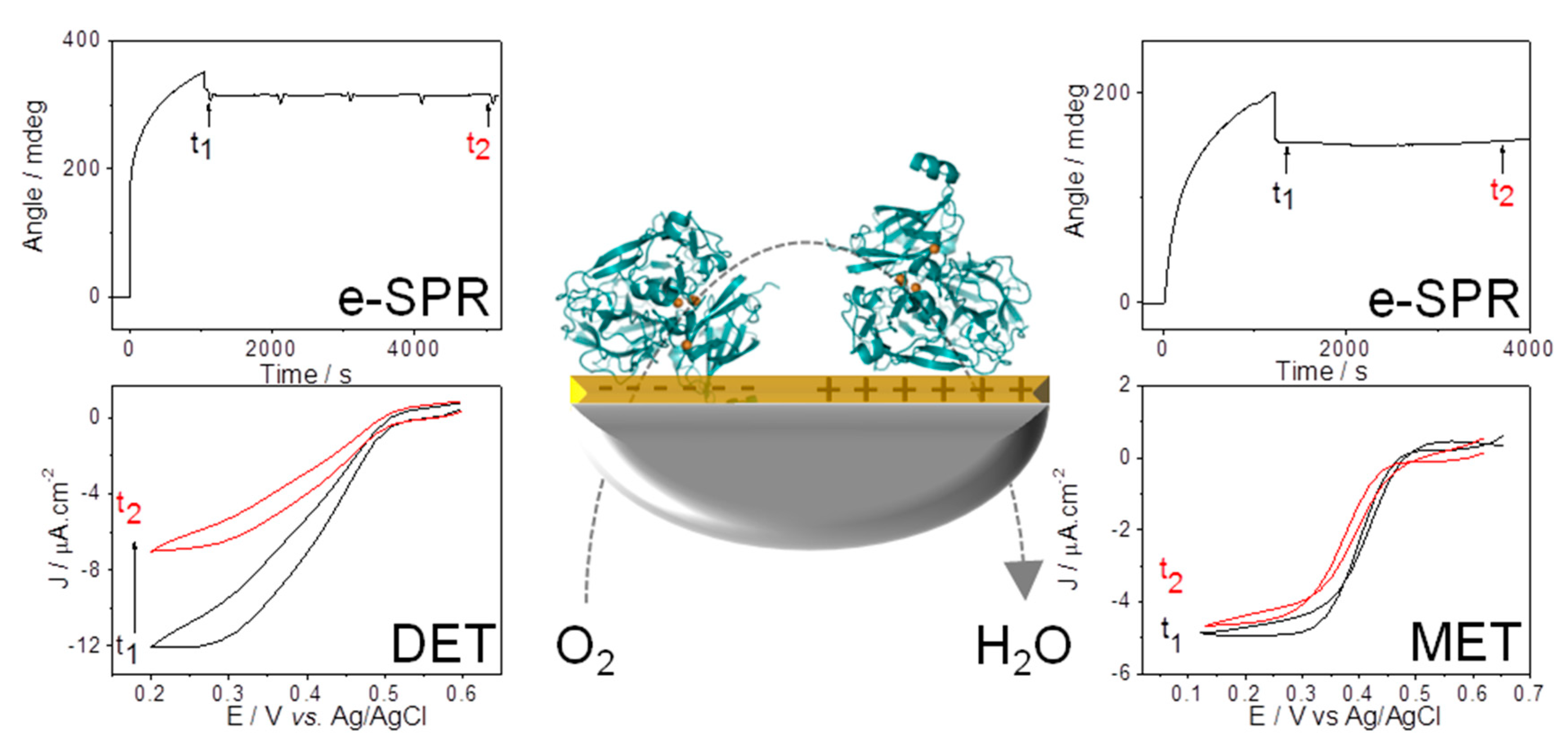 Catalysts 08 00192 g007