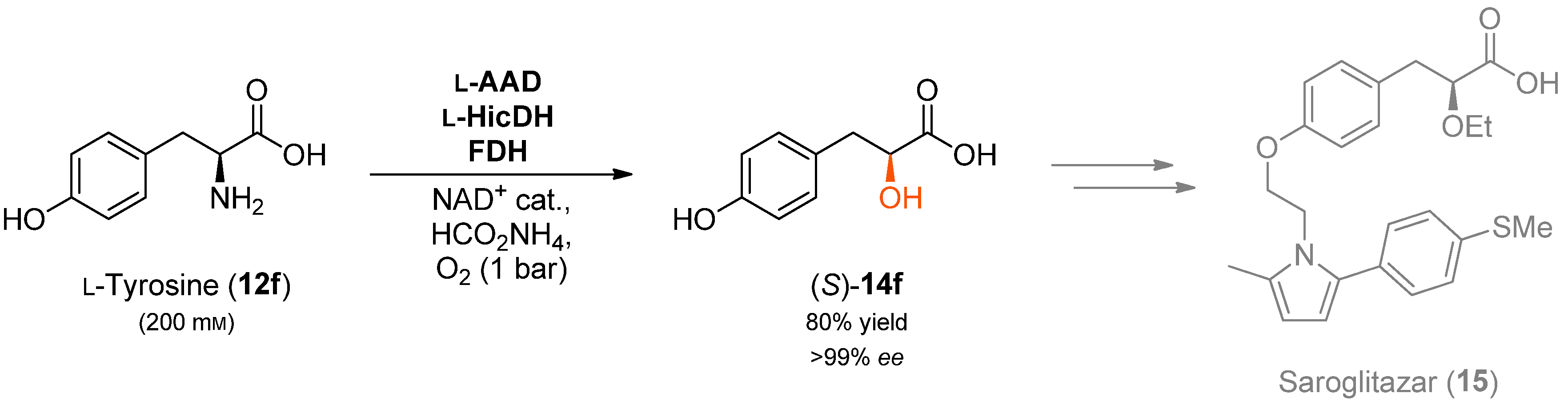 Catalysts 08 00205 sch004