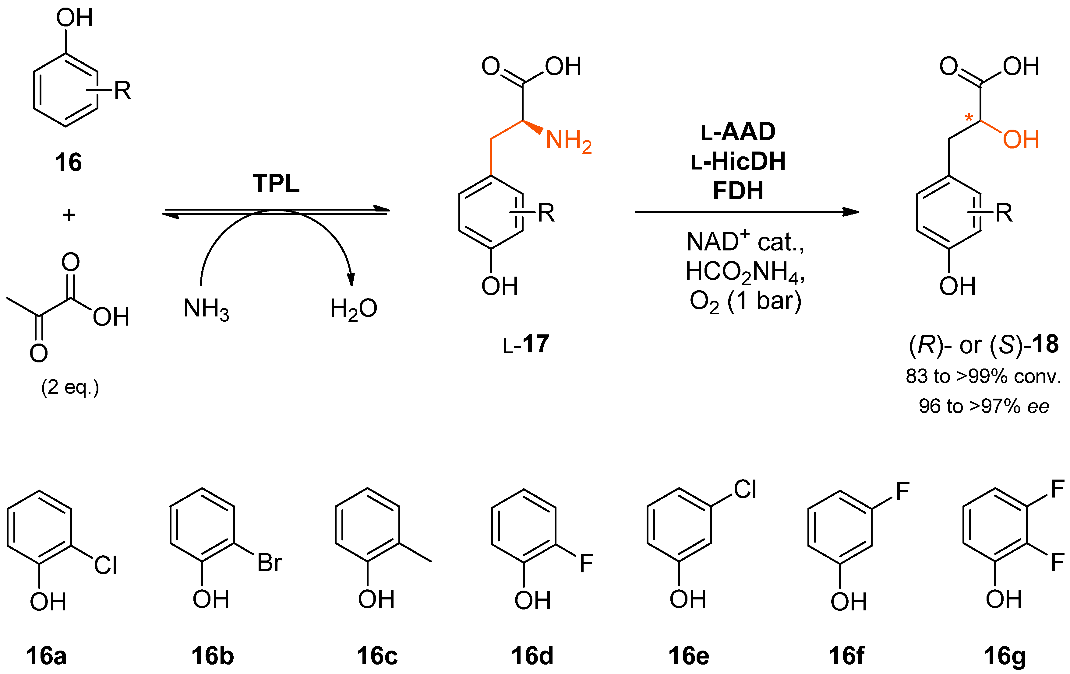 Catalysts 08 00205 sch005