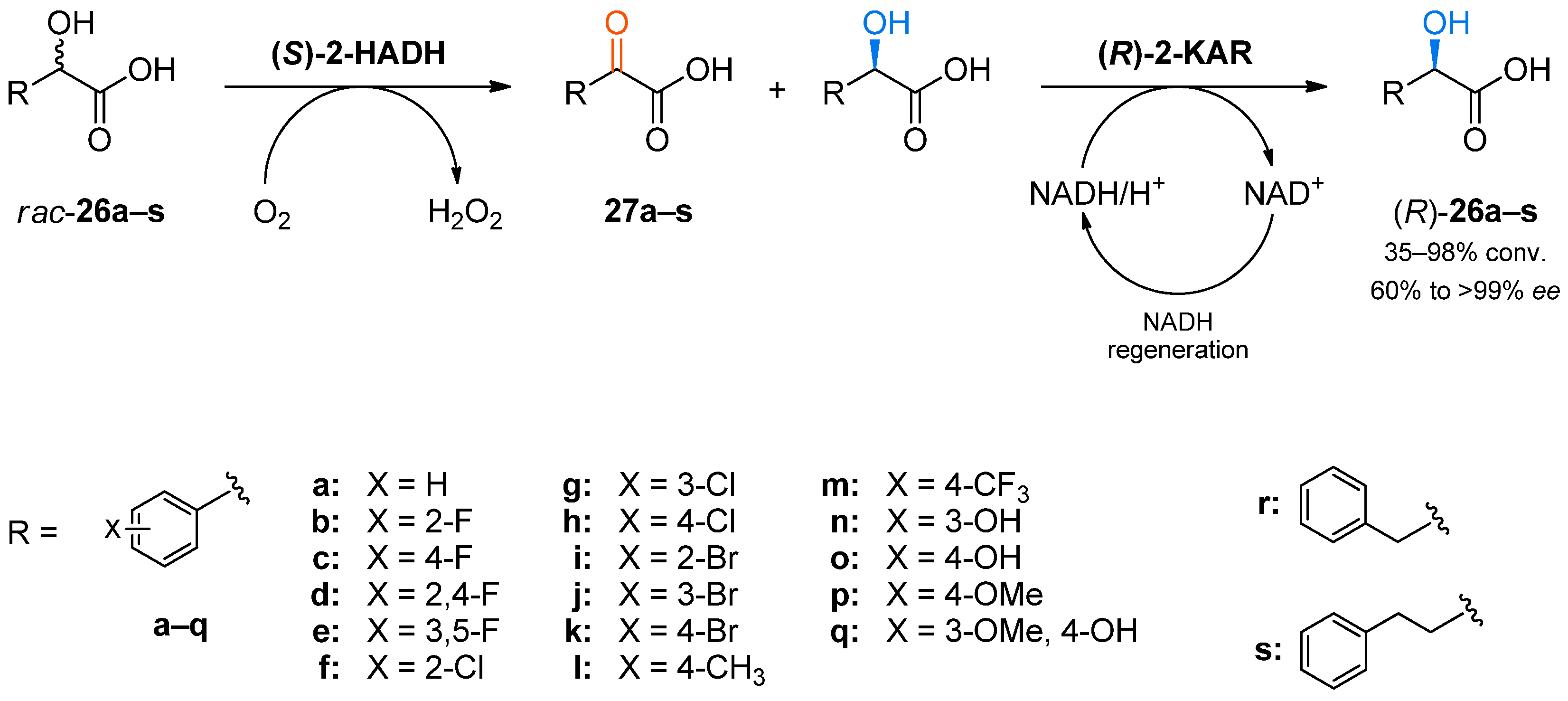 Catalysts 08 00205 sch007