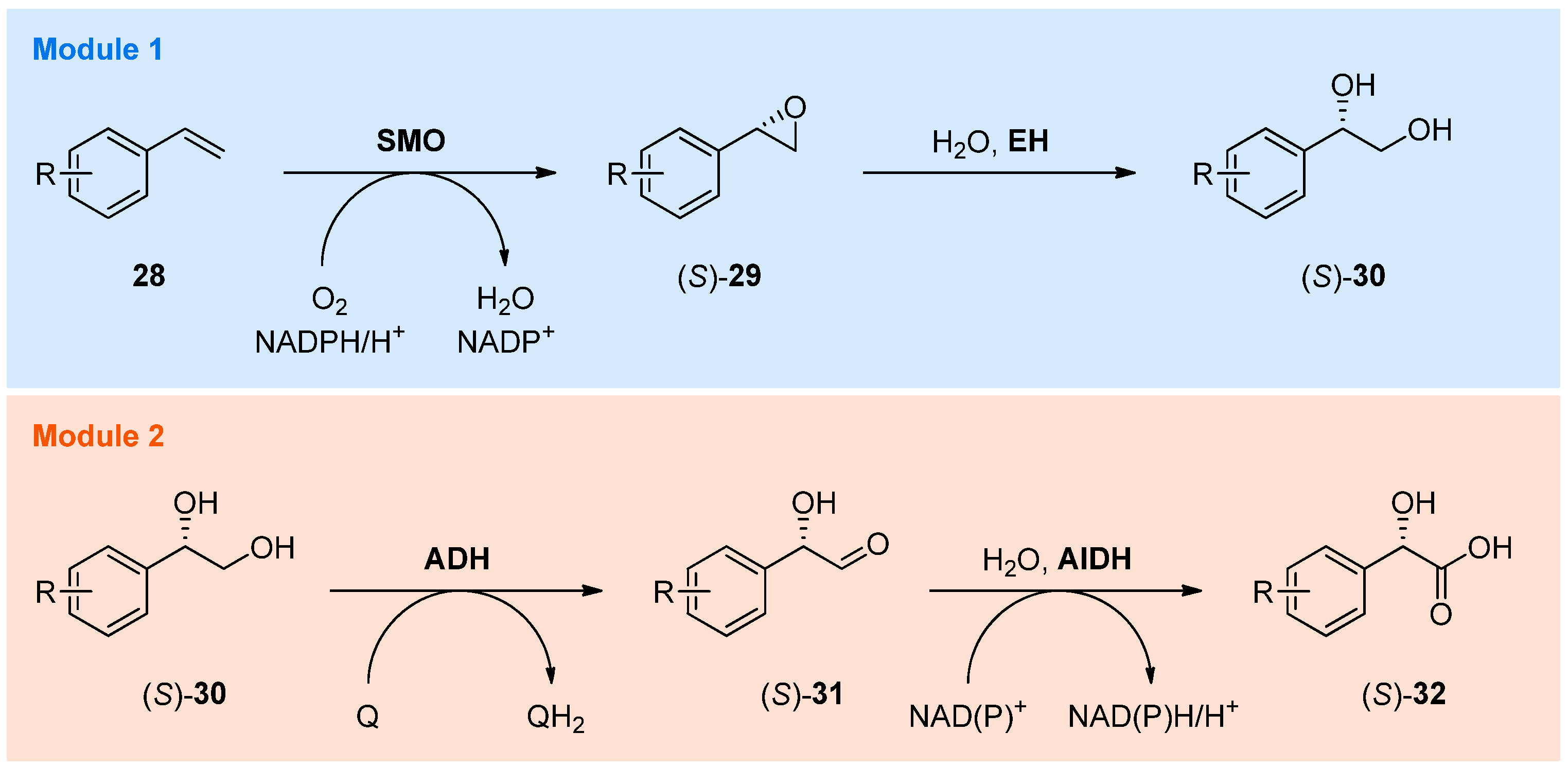 Catalysts 08 00205 sch008