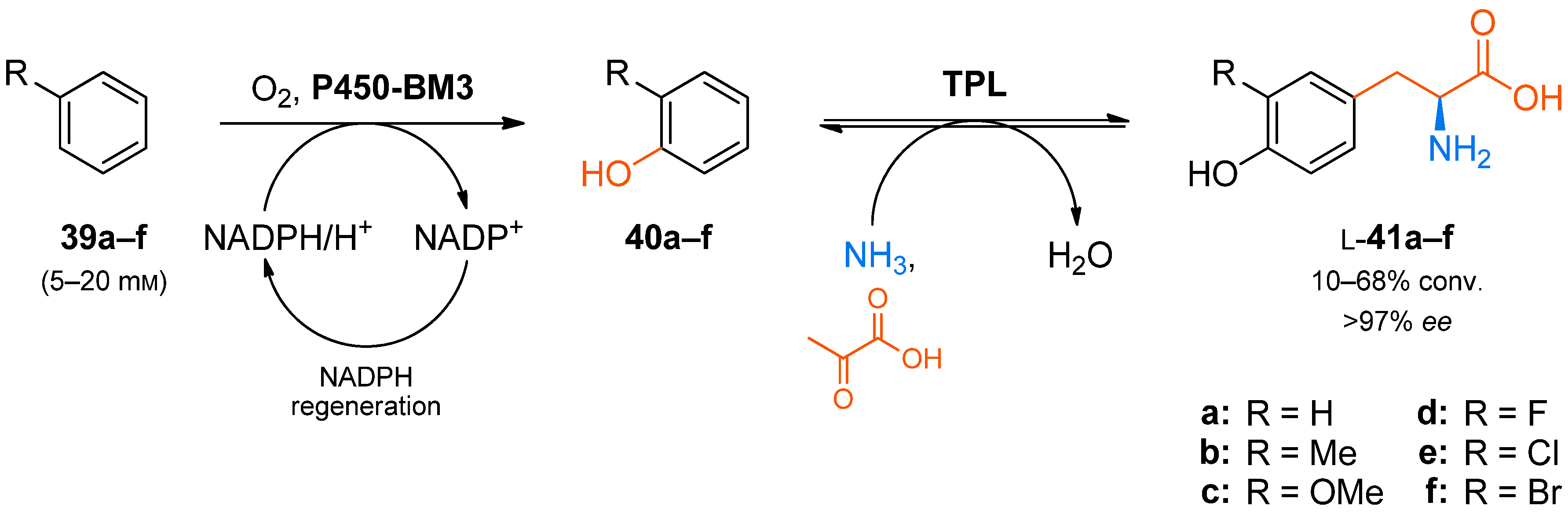 Catalysts 08 00205 sch011