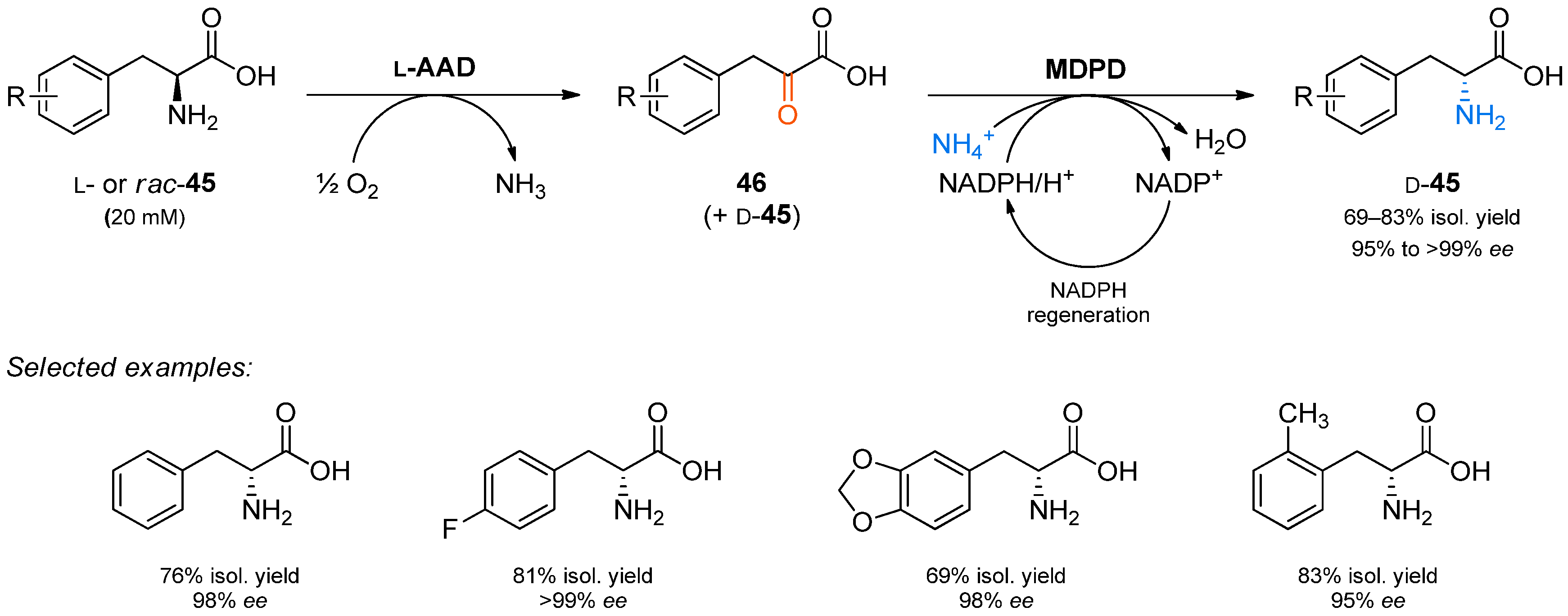 Catalysts 08 00205 sch013