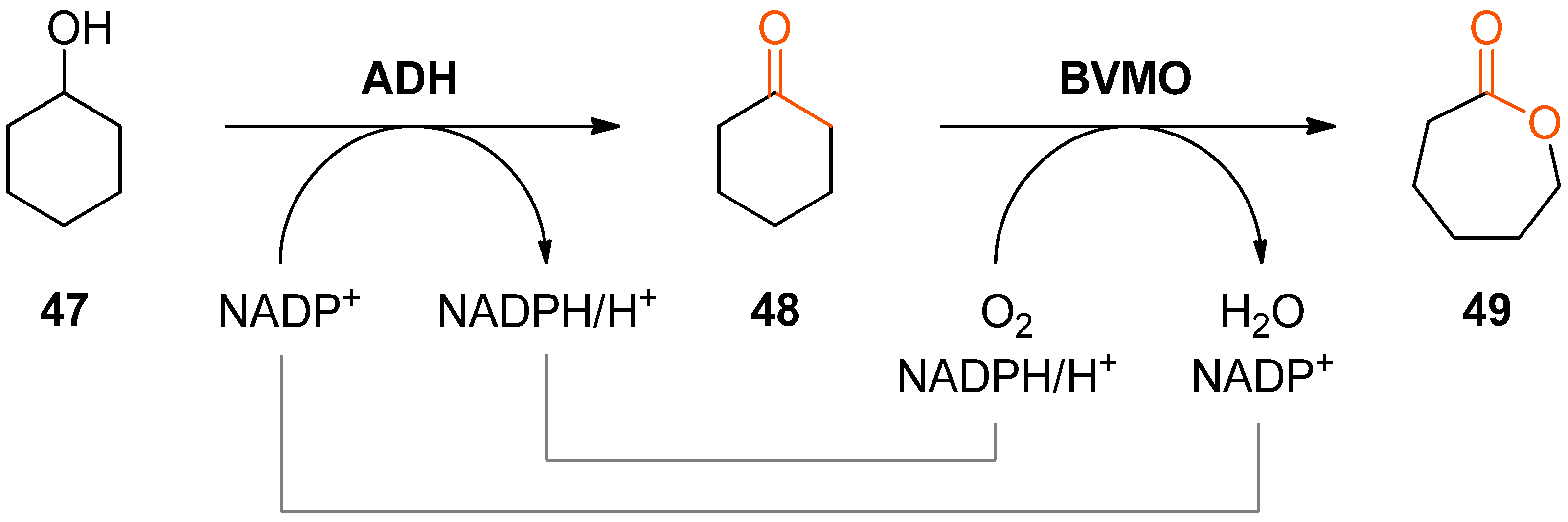 Catalysts 08 00205 sch014