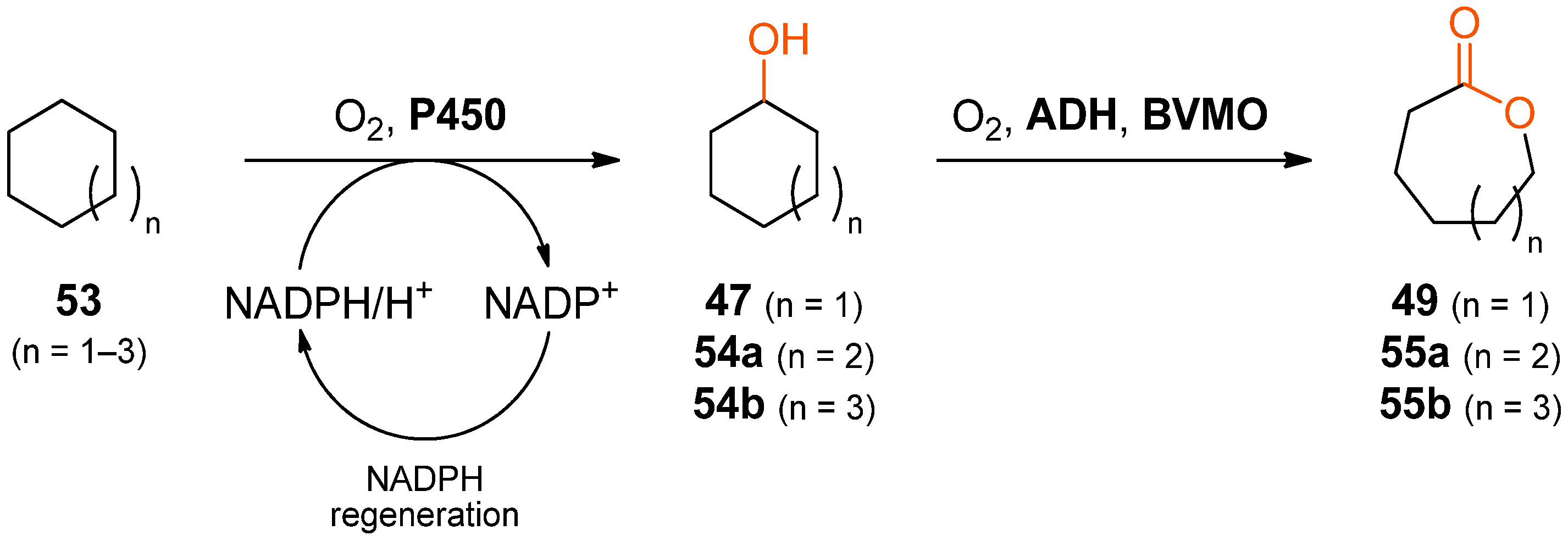 Catalysts 08 00205 sch016
