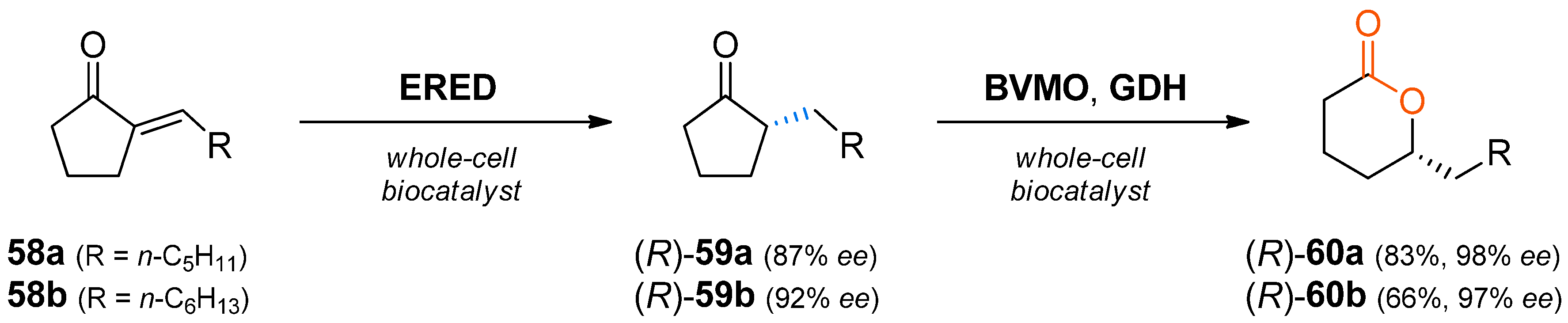 Catalysts 08 00205 sch018