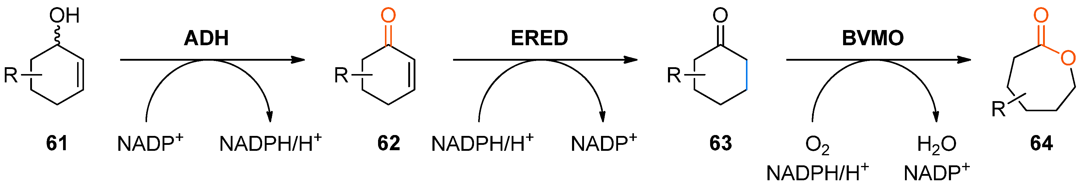 Catalysts 08 00205 sch019