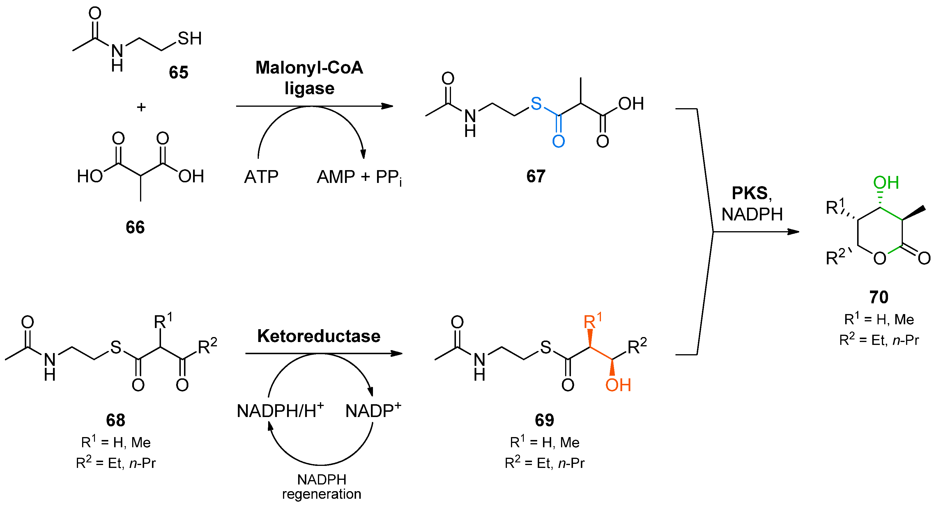 Catalysts 08 00205 sch020