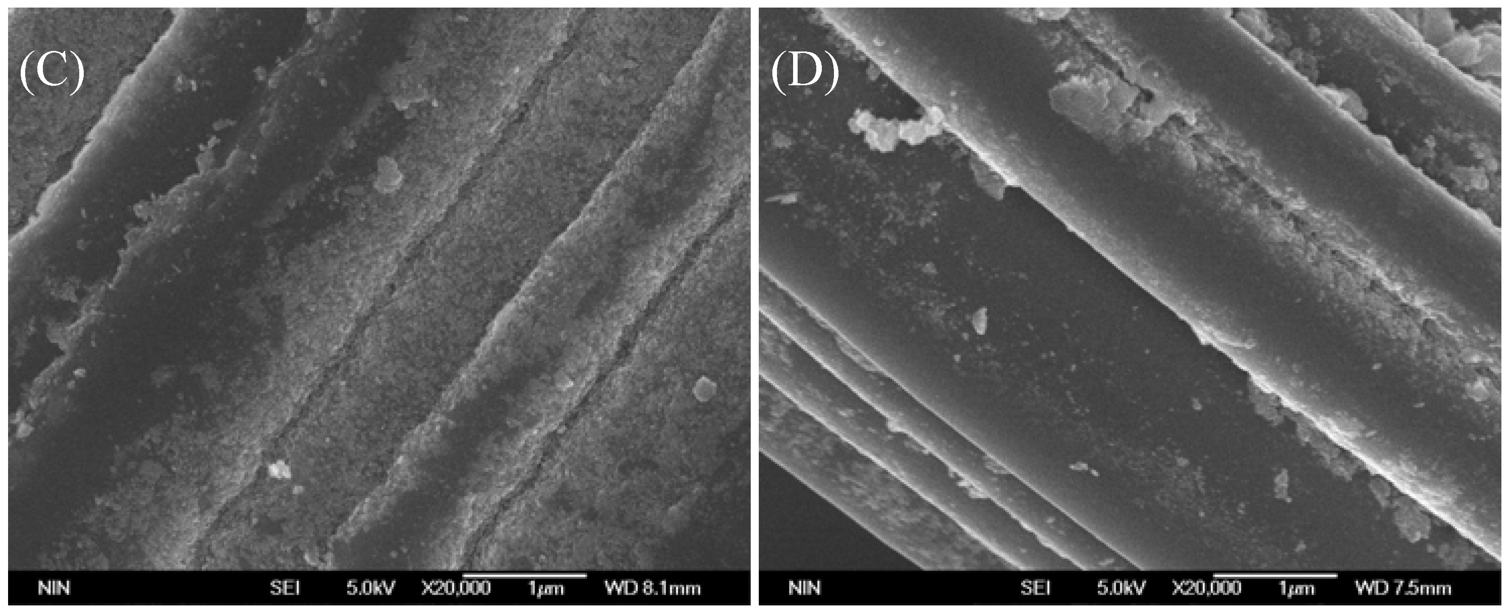 Catalysts 08 00207 g010b