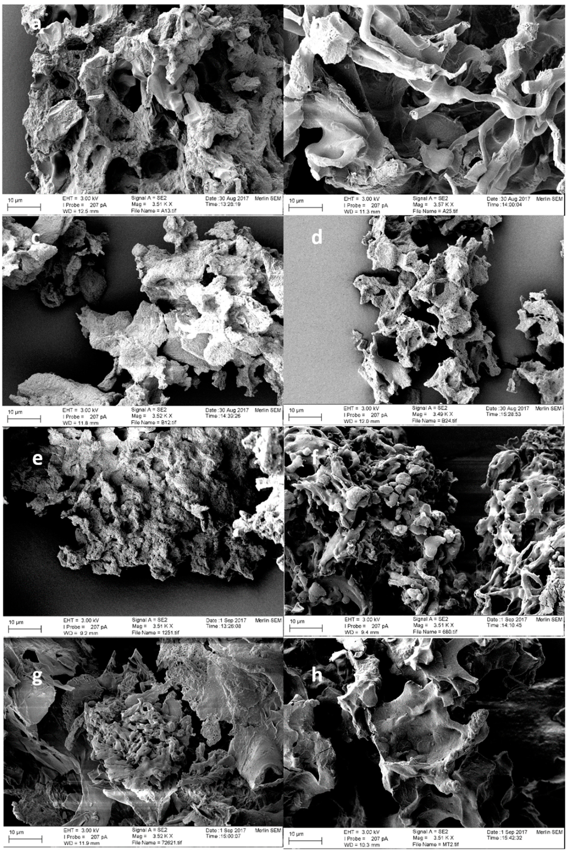 Catalysts 08 00208 g005 Catalysts 08 00208 g005