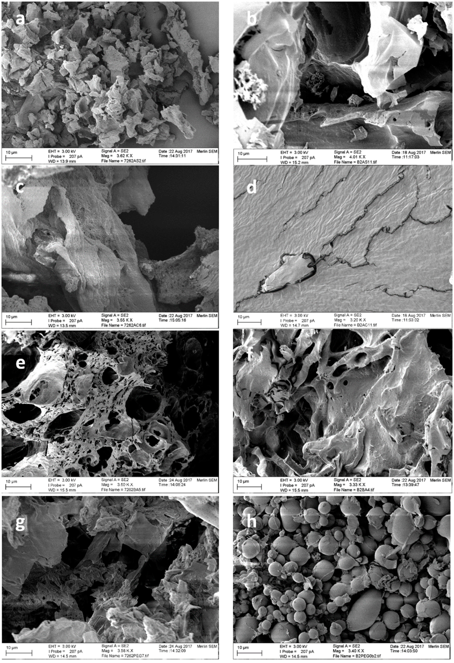 Catalysts 08 00208 g007 Catalysts 08 00208 g007