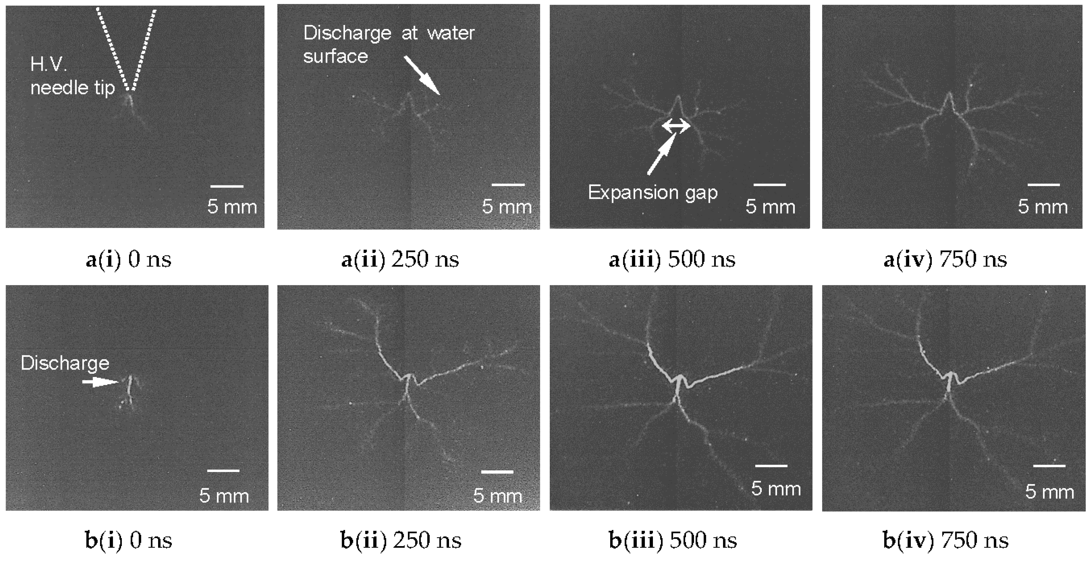 Catalysts 08 00213 g004