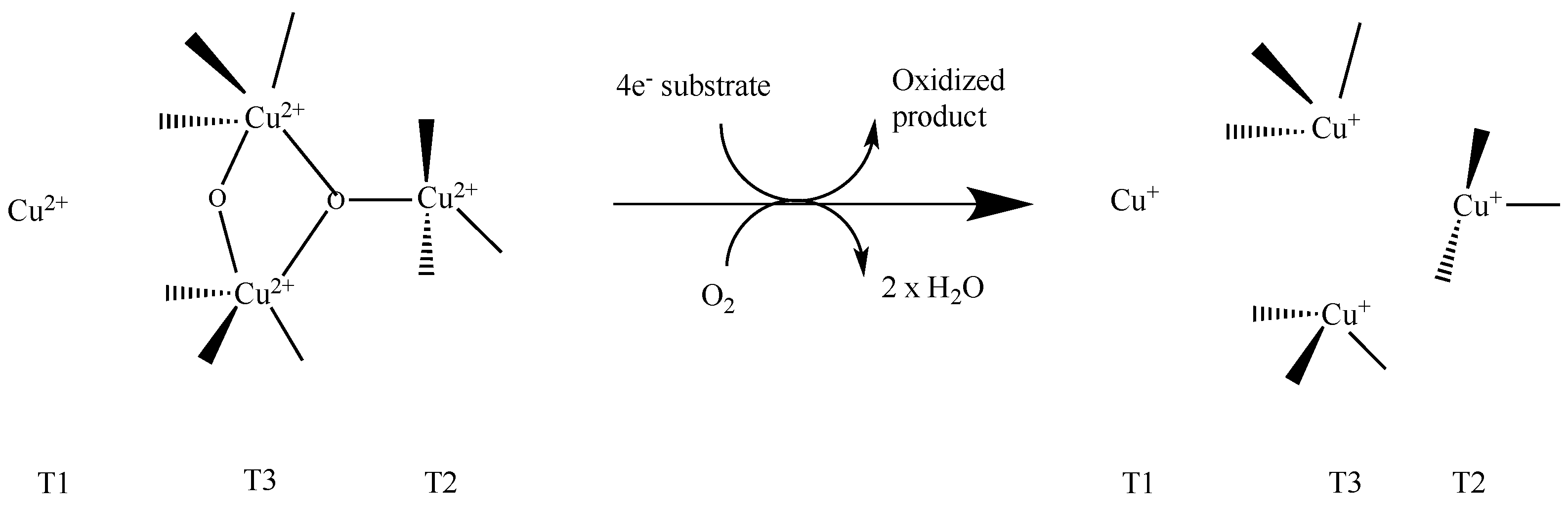 Catalysts 08 00223 g002