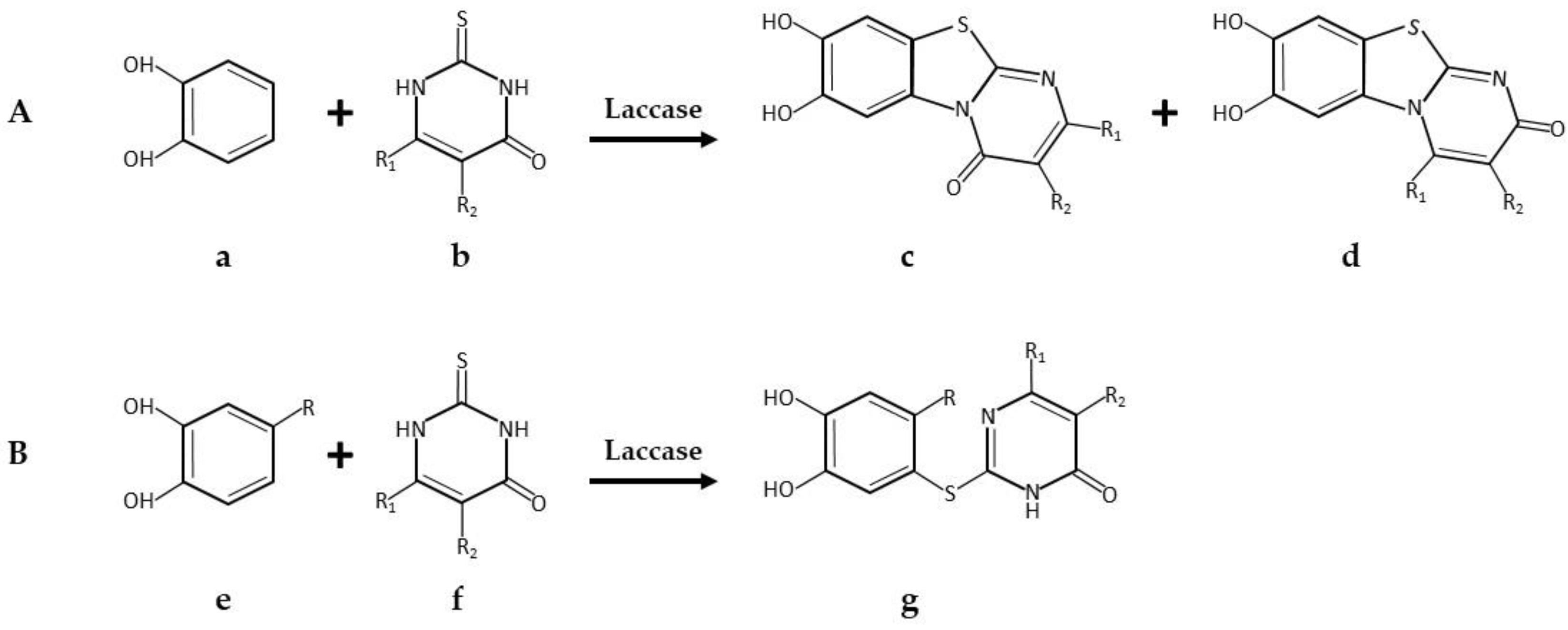 Catalysts 08 00223 g007