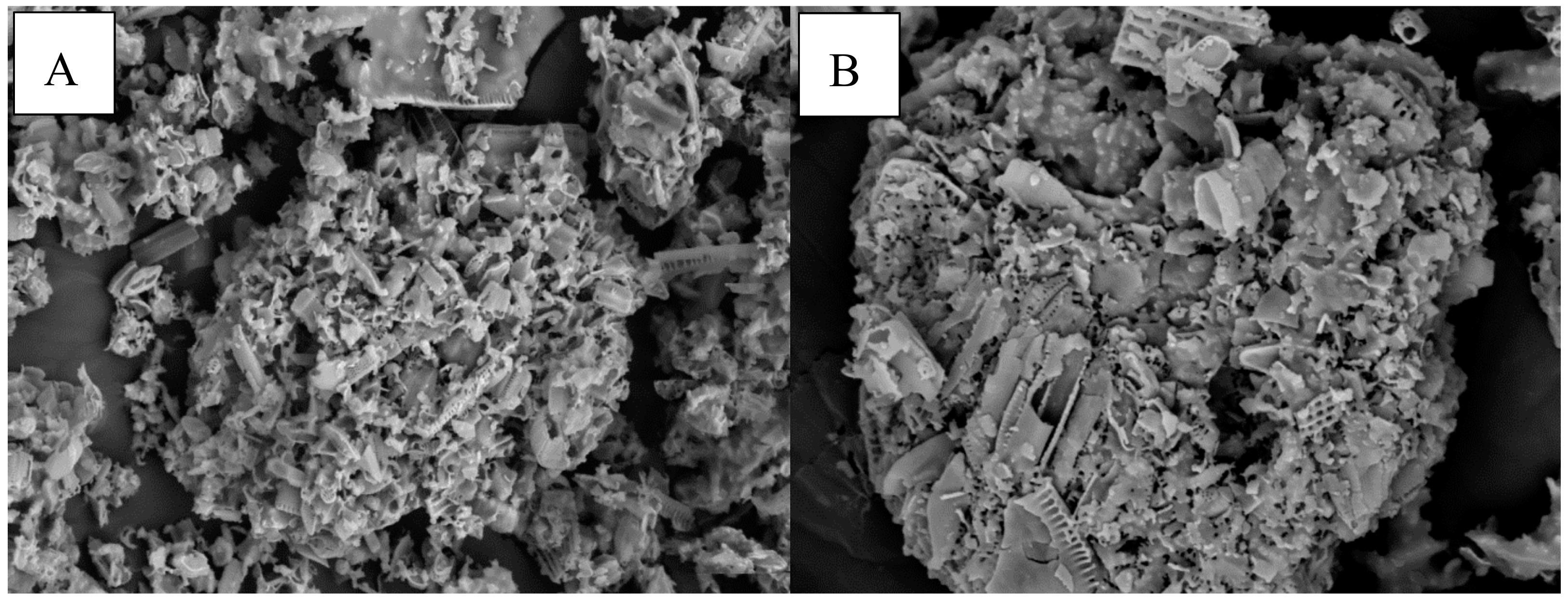 Catalysts 08 00234 g008