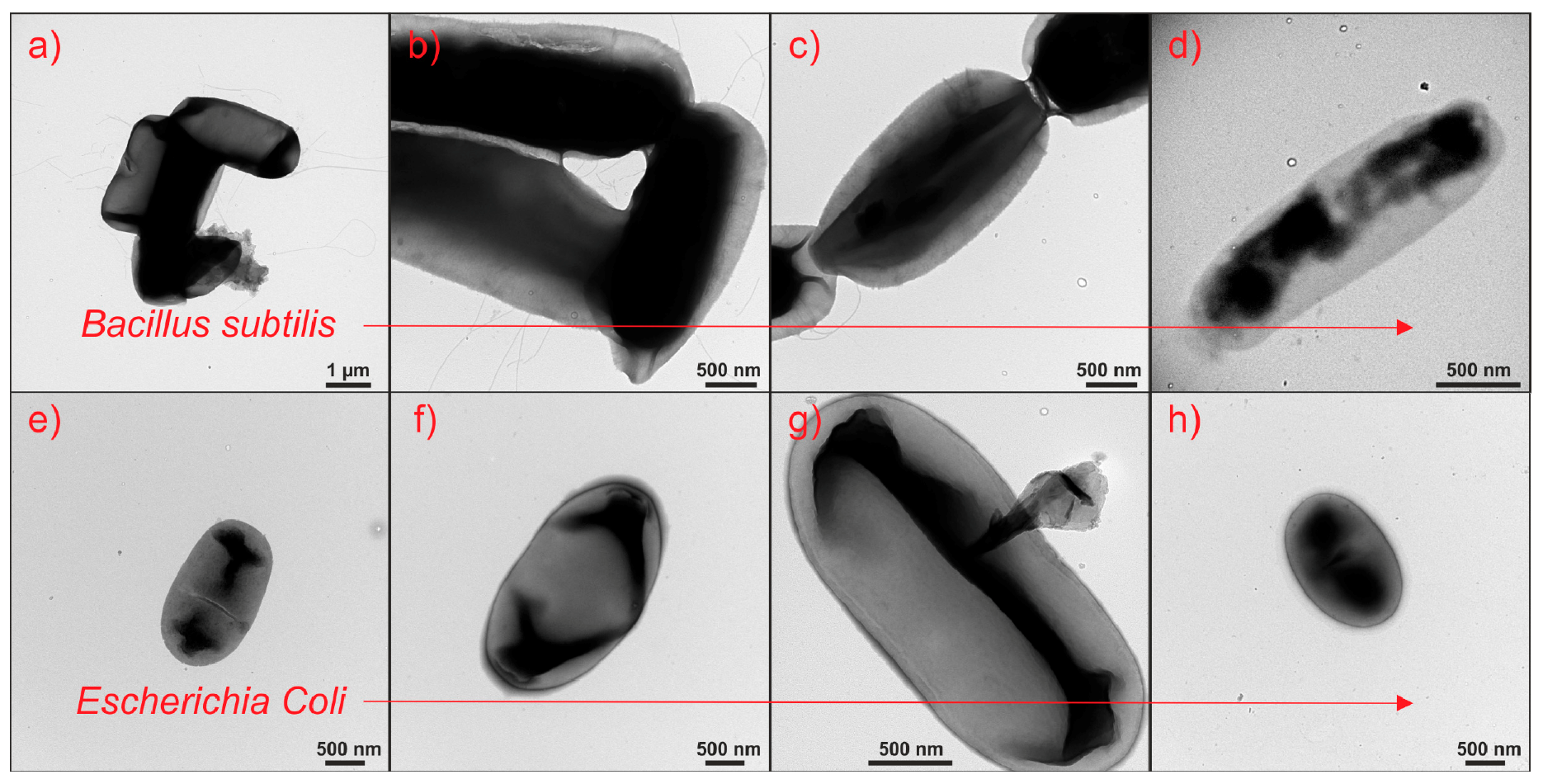Catalysts 08 00237 g007 Catalysts 08 00237 g007