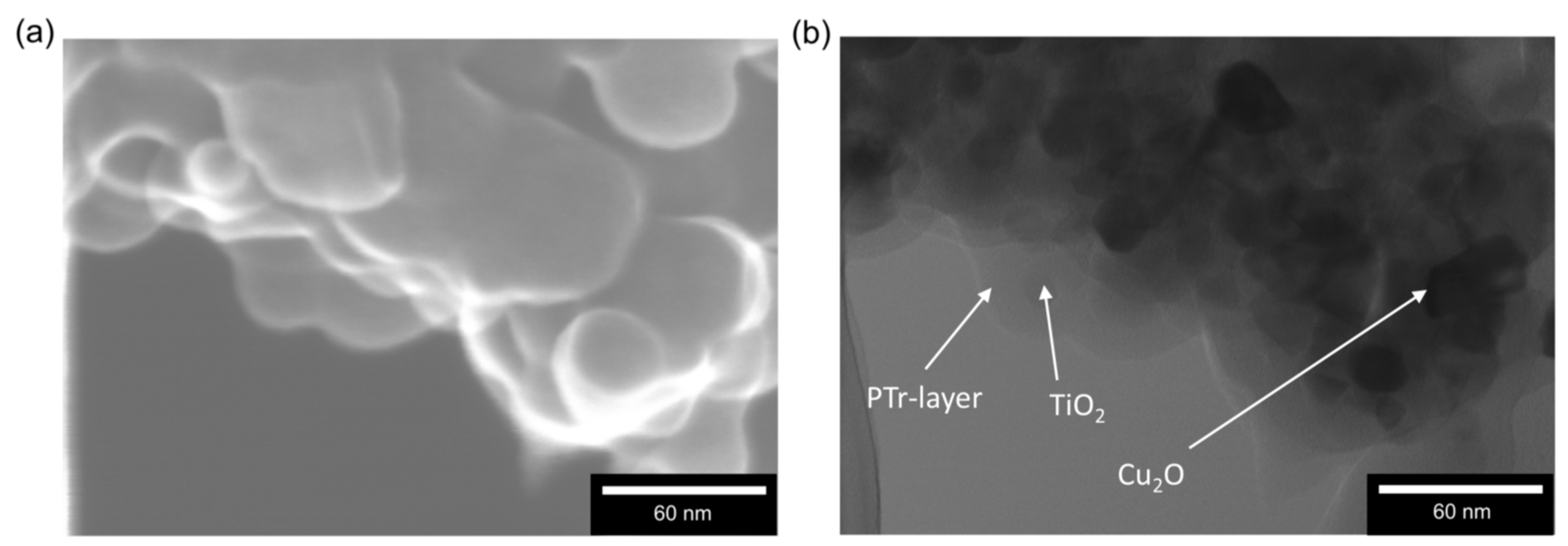 Catalysts 08 00240 g005 Catalysts 08 00240 g005