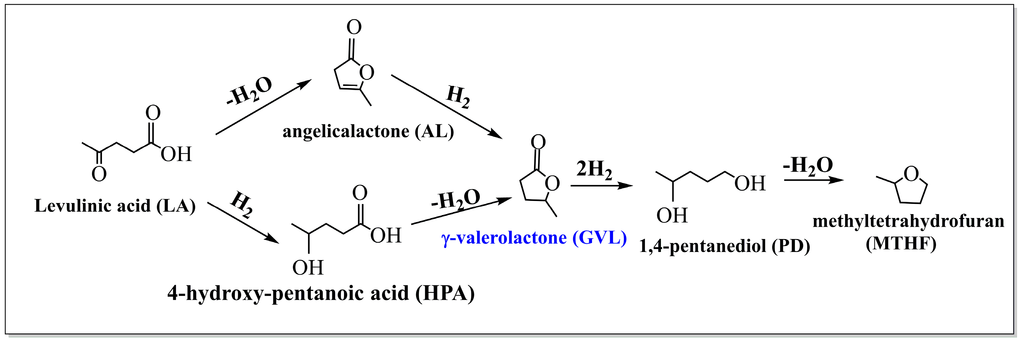 Catalysts 08 00241 sch001