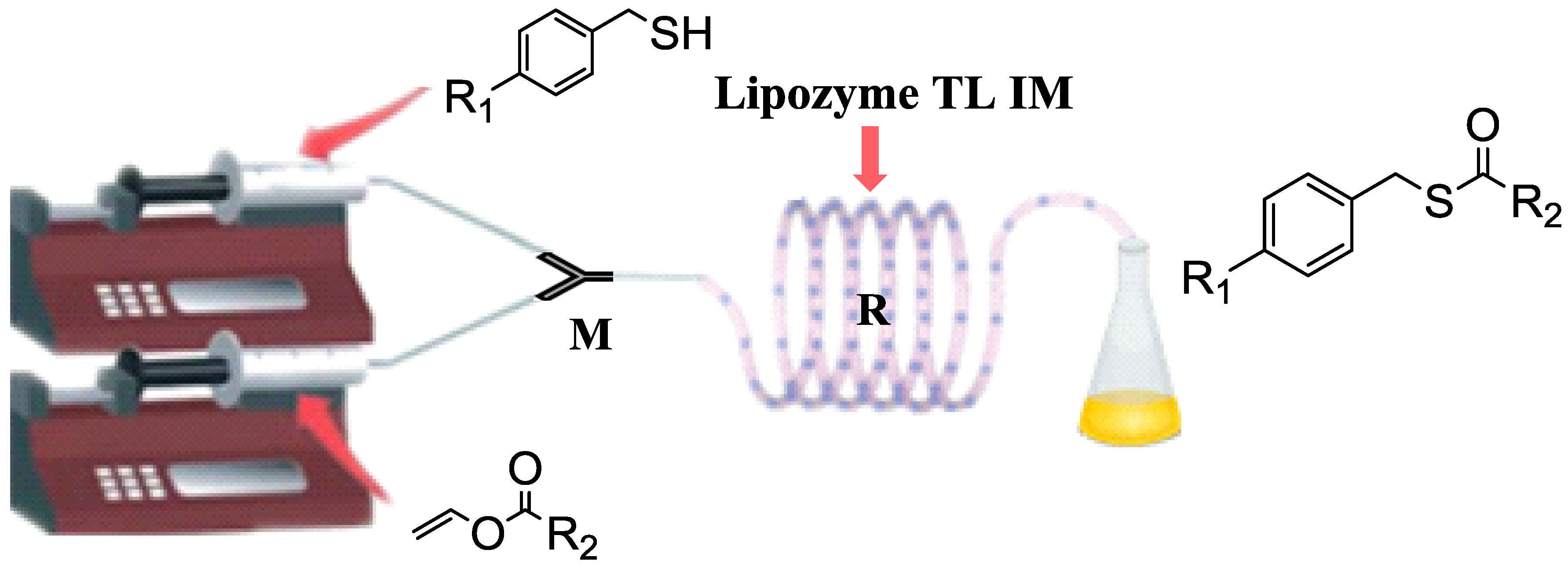 Catalysts 08 00249 g001