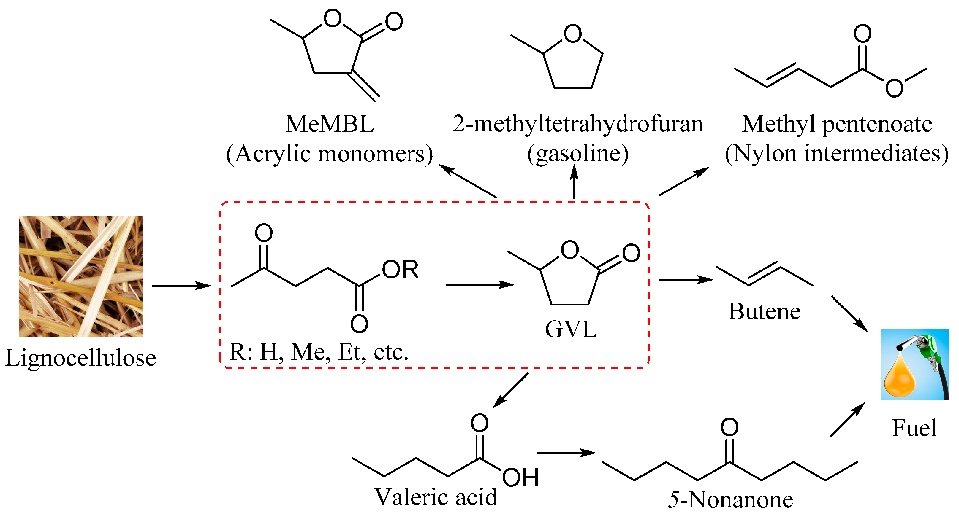 Catalysts 08 00264 sch001