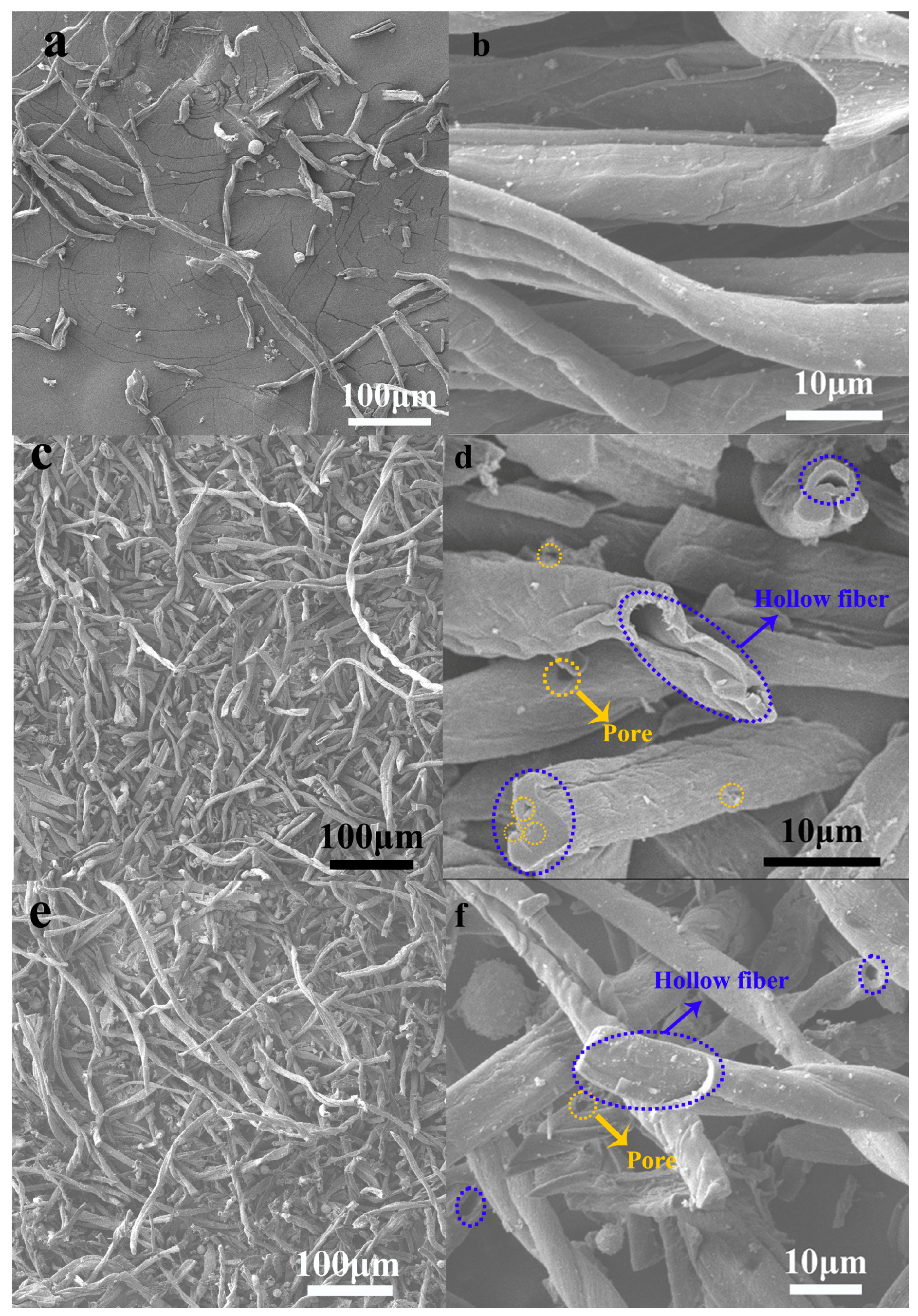 Catalysts 08 00267 g002