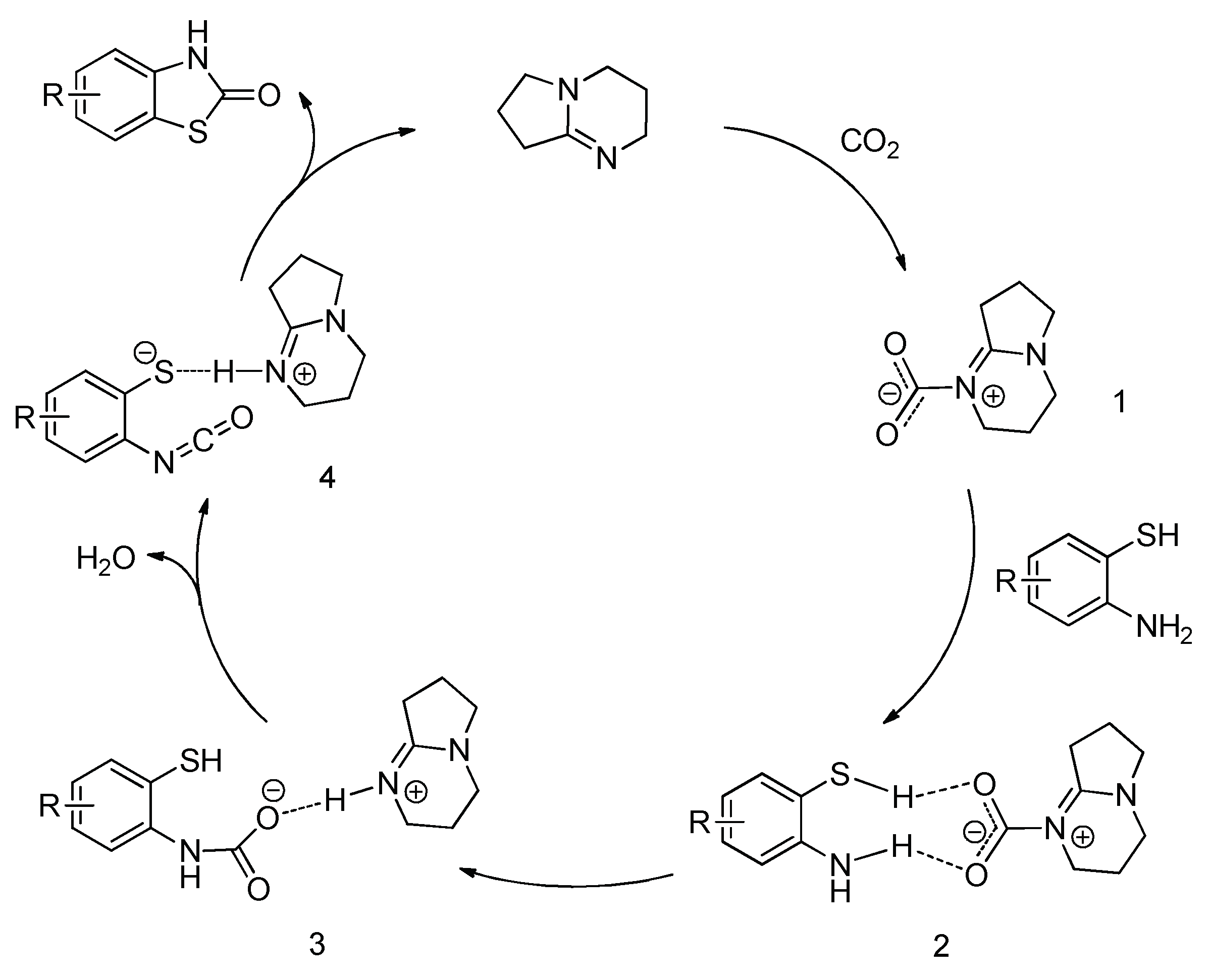 Catalysts 08 00271 sch002