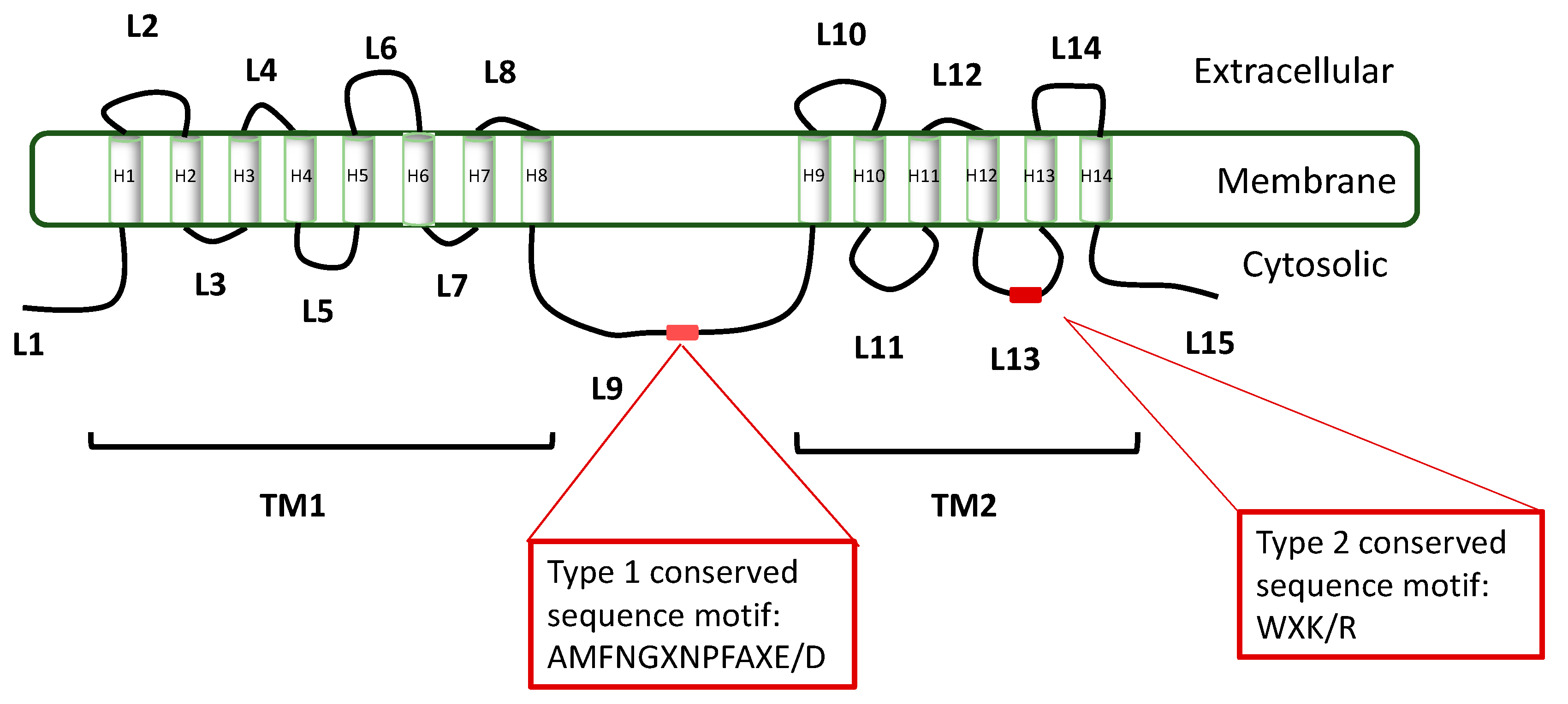 Catalysts 08 00274 g004