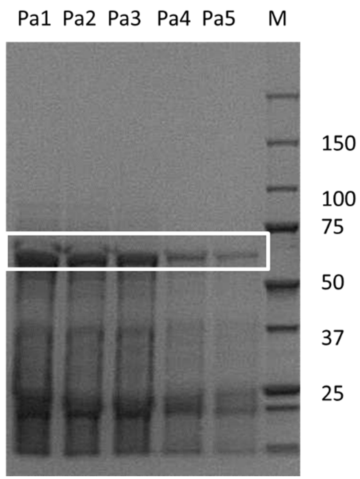 Catalysts 08 00287 g001