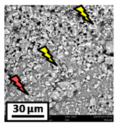 Catalysts 08 00291 i007