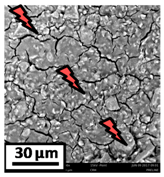 Catalysts 08 00291 i008